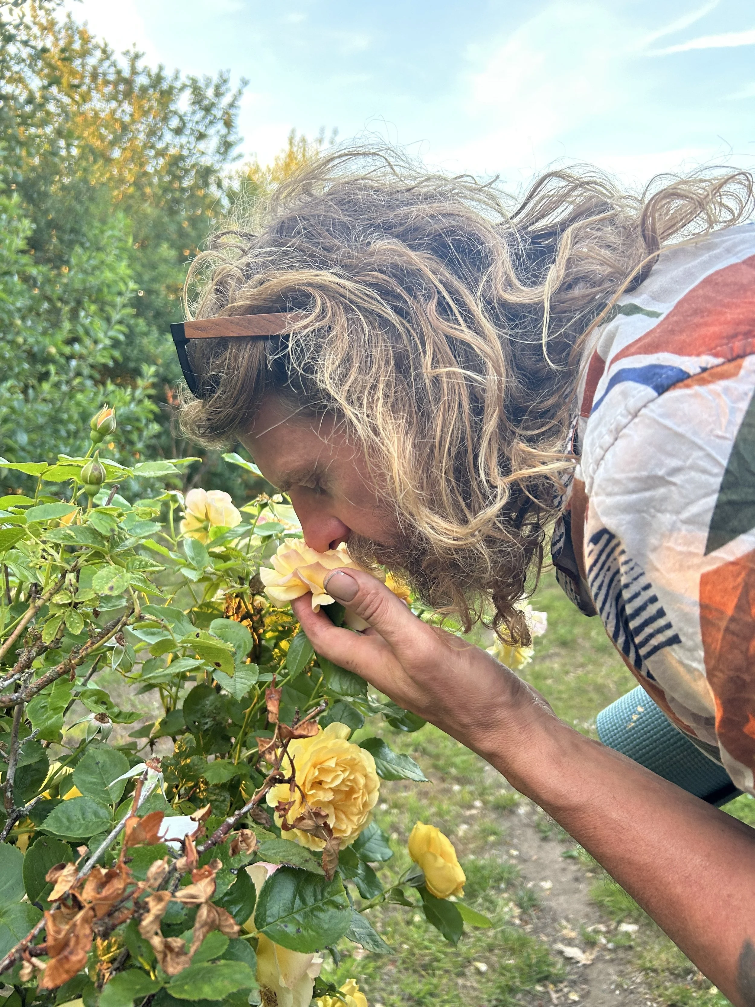 Root smelling the roses