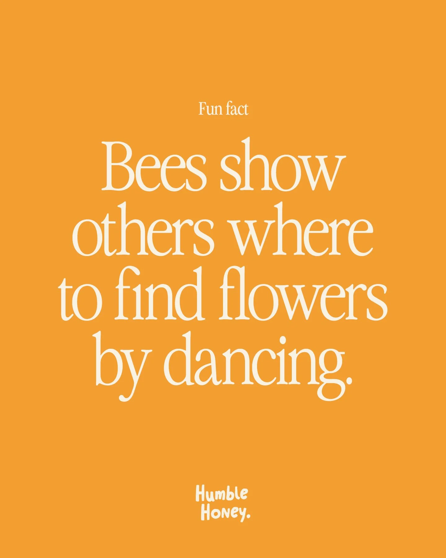 Did you know that when a worker bee finds a good bunch of flowers, she returns to the hive and does a dance called the waggle dance. 

The direction of the dance shows the angle to the flowers relative to the sun, the length of her waggle shows the d