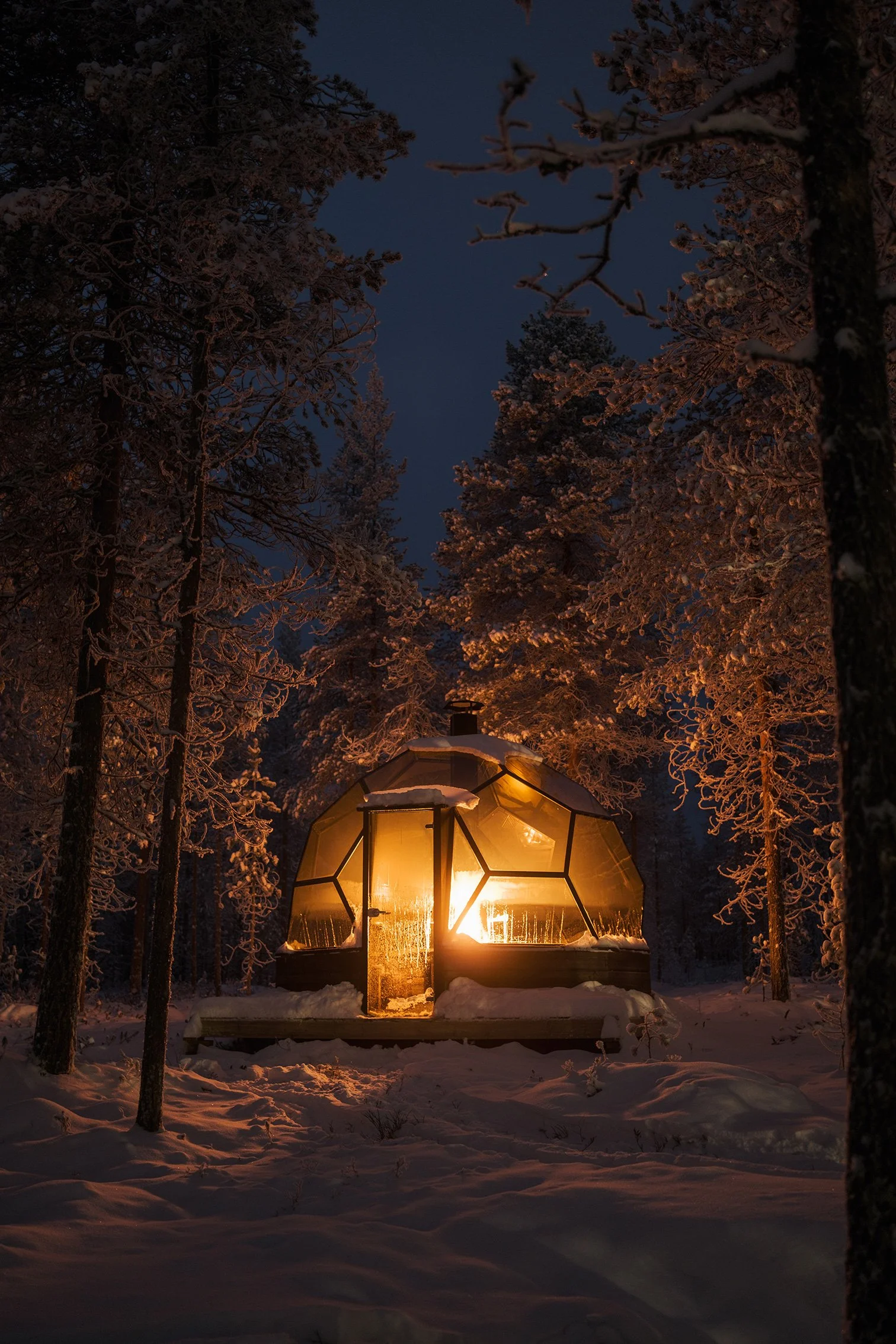 A cozy greenhouse in a snowy forest at night, illuminated from within, with snow on its roof and surrounding trees.