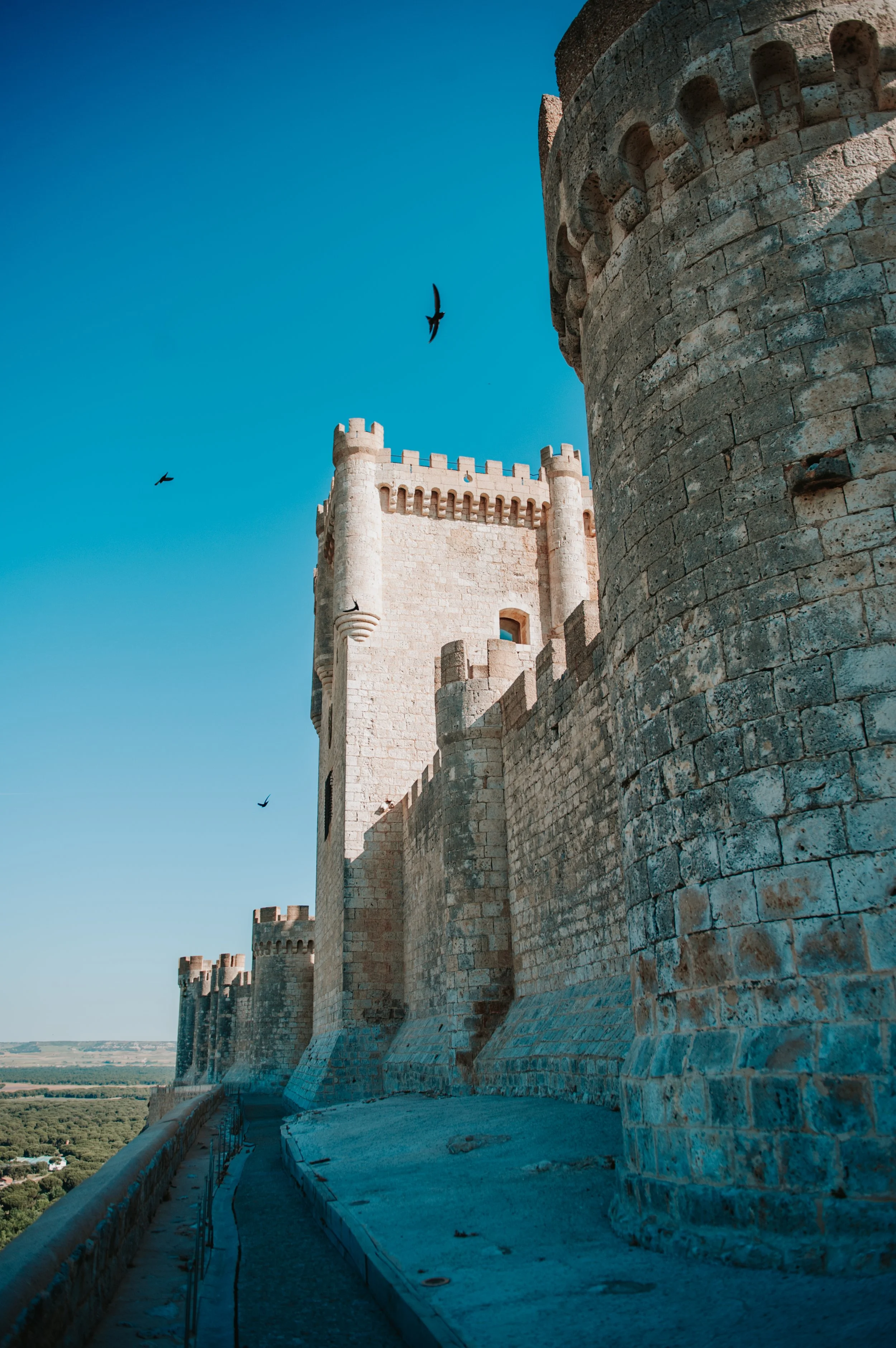 Castillo de piedra con torres y murallas en un día despejado, con aves volando en el cielo azul.