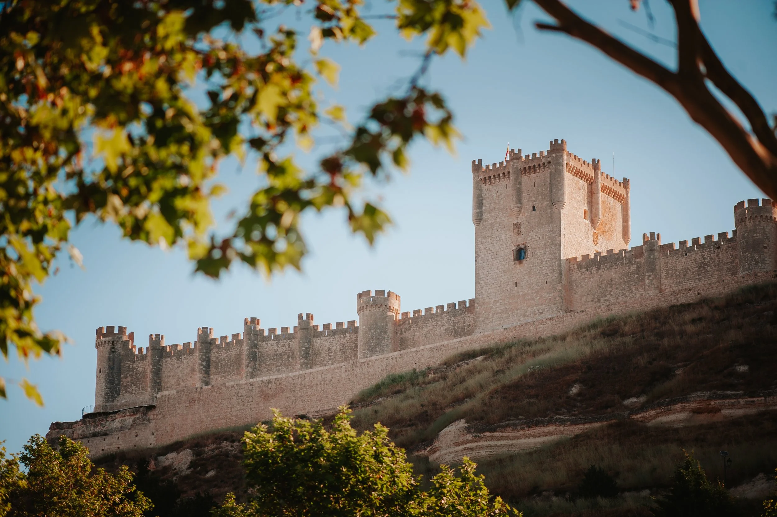 Castillo antiguo en una colina, rodeado de árboles verdes con hojas en primer plano y cielo despejado de fondo.