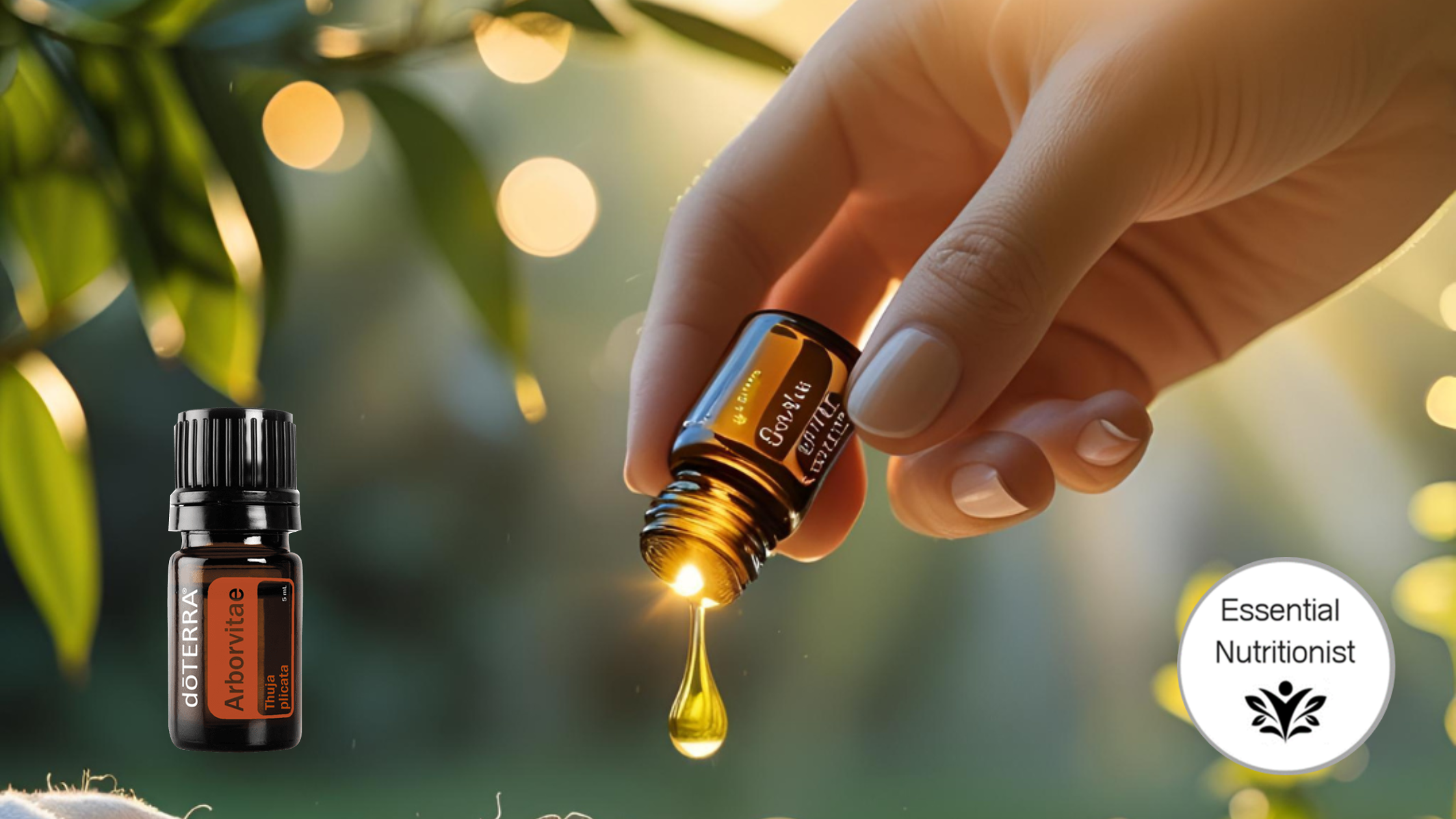 Arborvitae: The Tree of Life Oil for Timeless Skin &amp; Total Protection