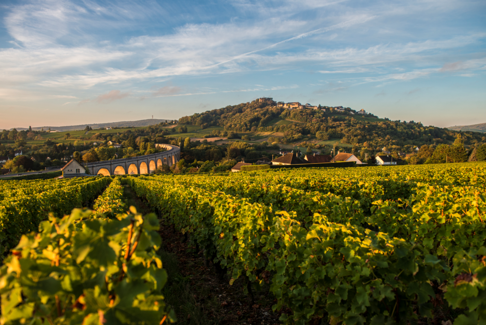 Piton de Sancerre et vignes