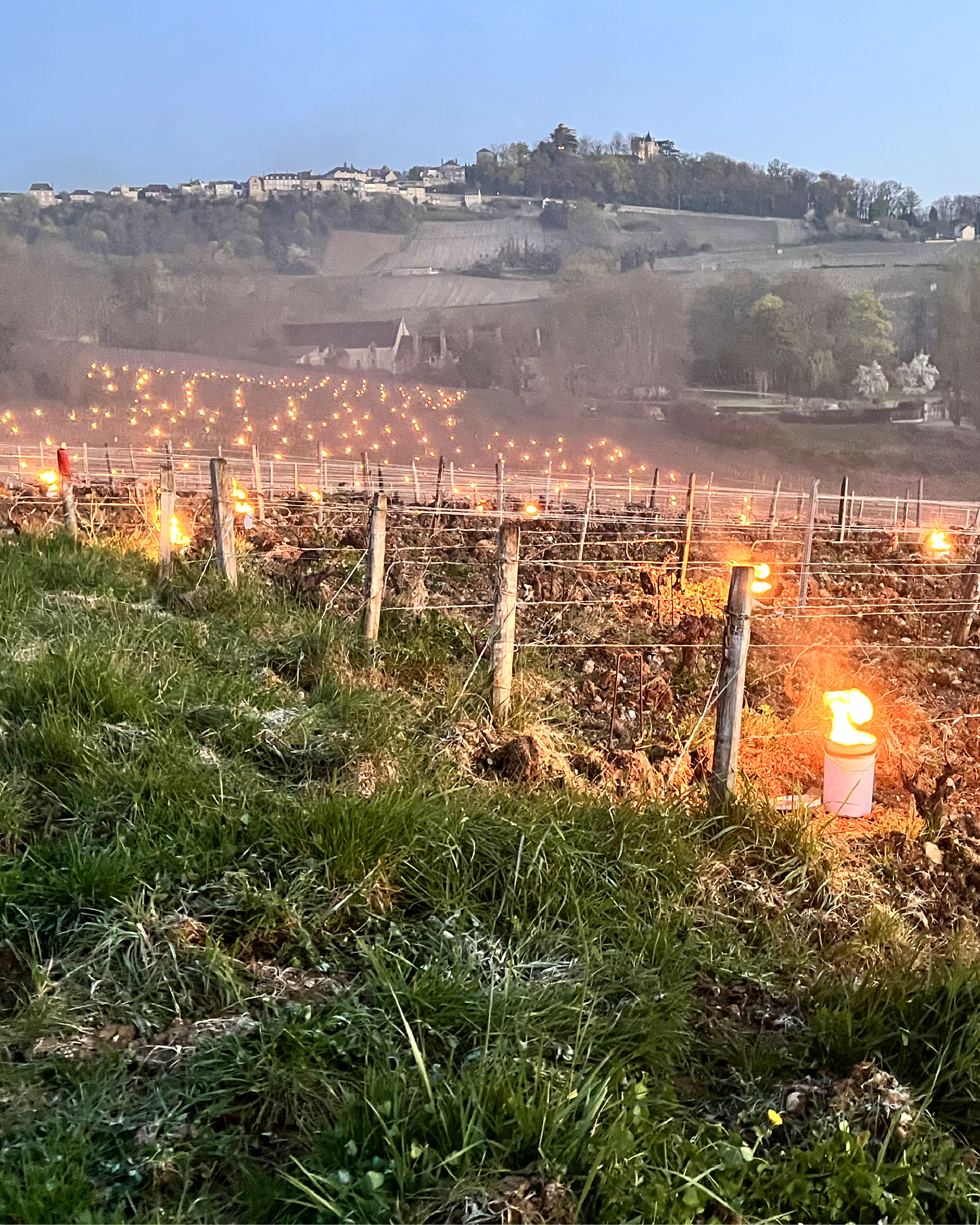 Vignoble de Sancerre, lutte contre le gel
