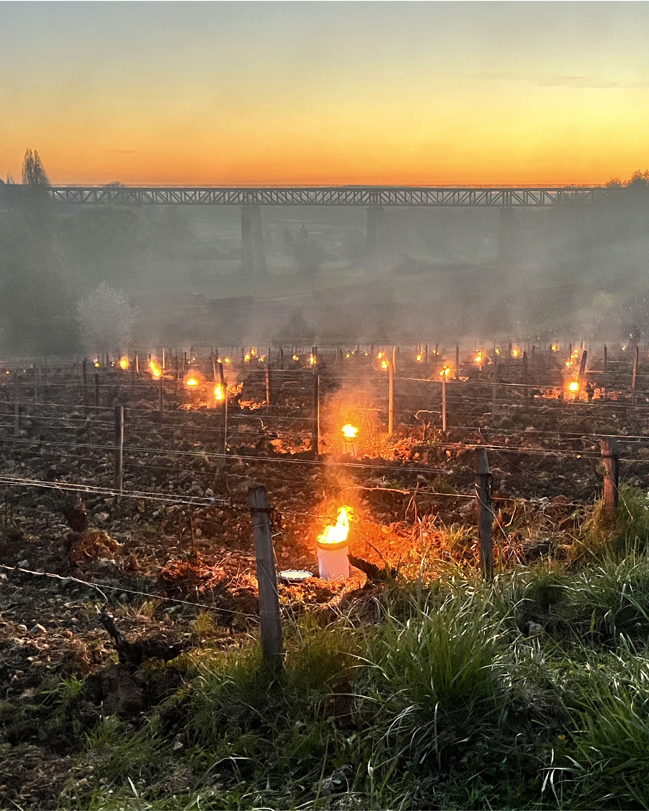 Vignoble de Sancerre, lutte contre le gel
