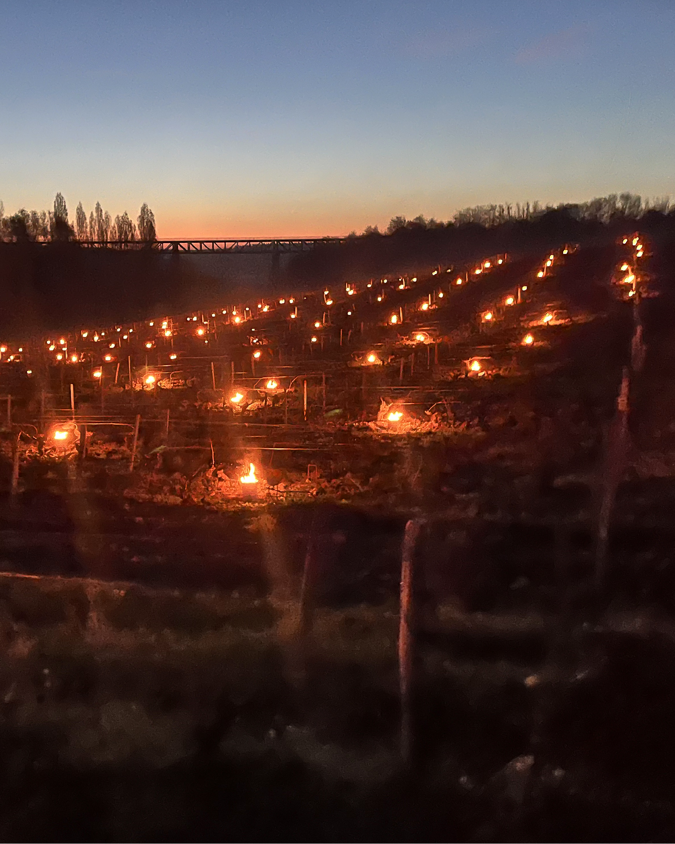 Vignoble de Sancerre, lutte contre le gel