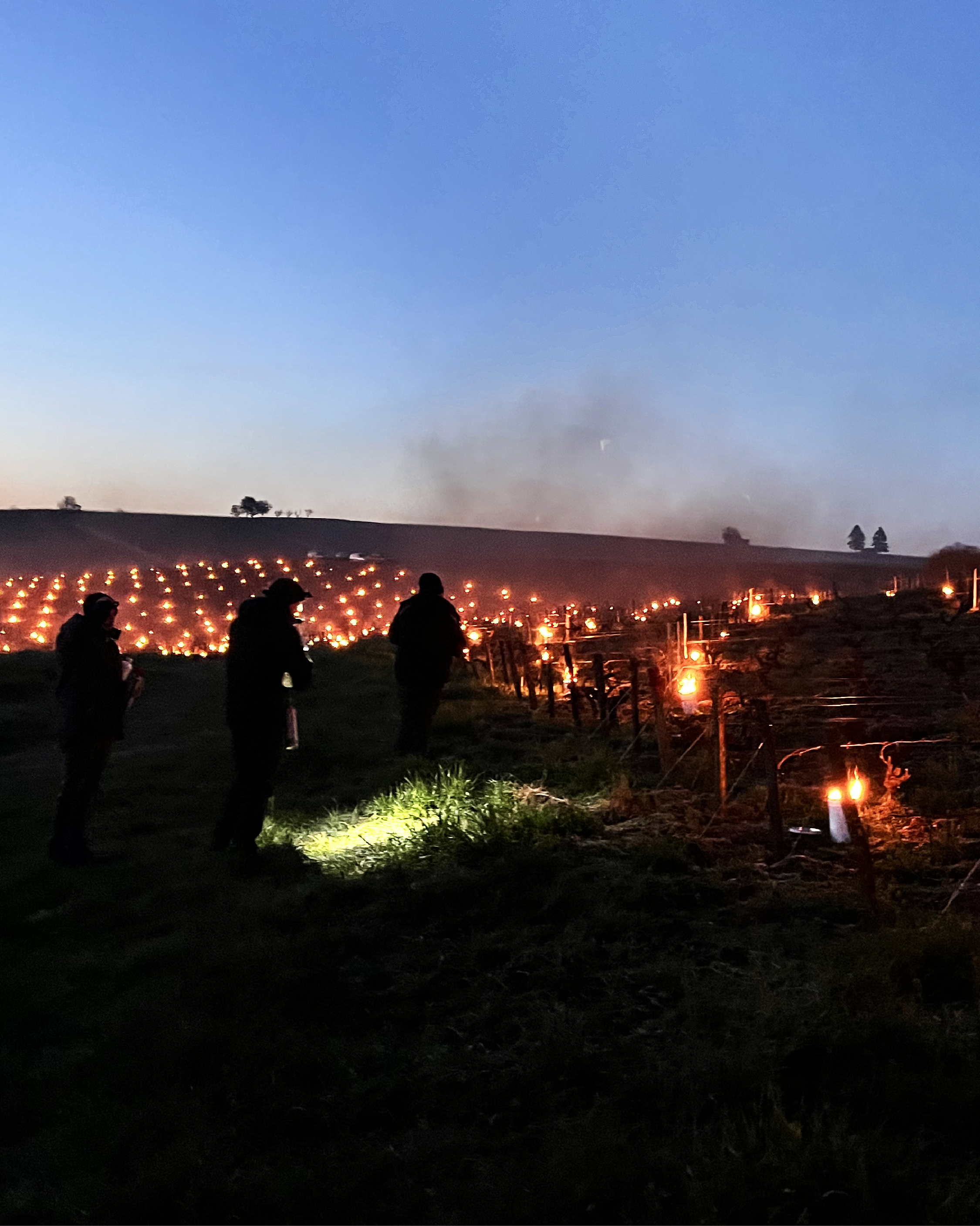 Vignoble de Sancerre, lutte contre le gel