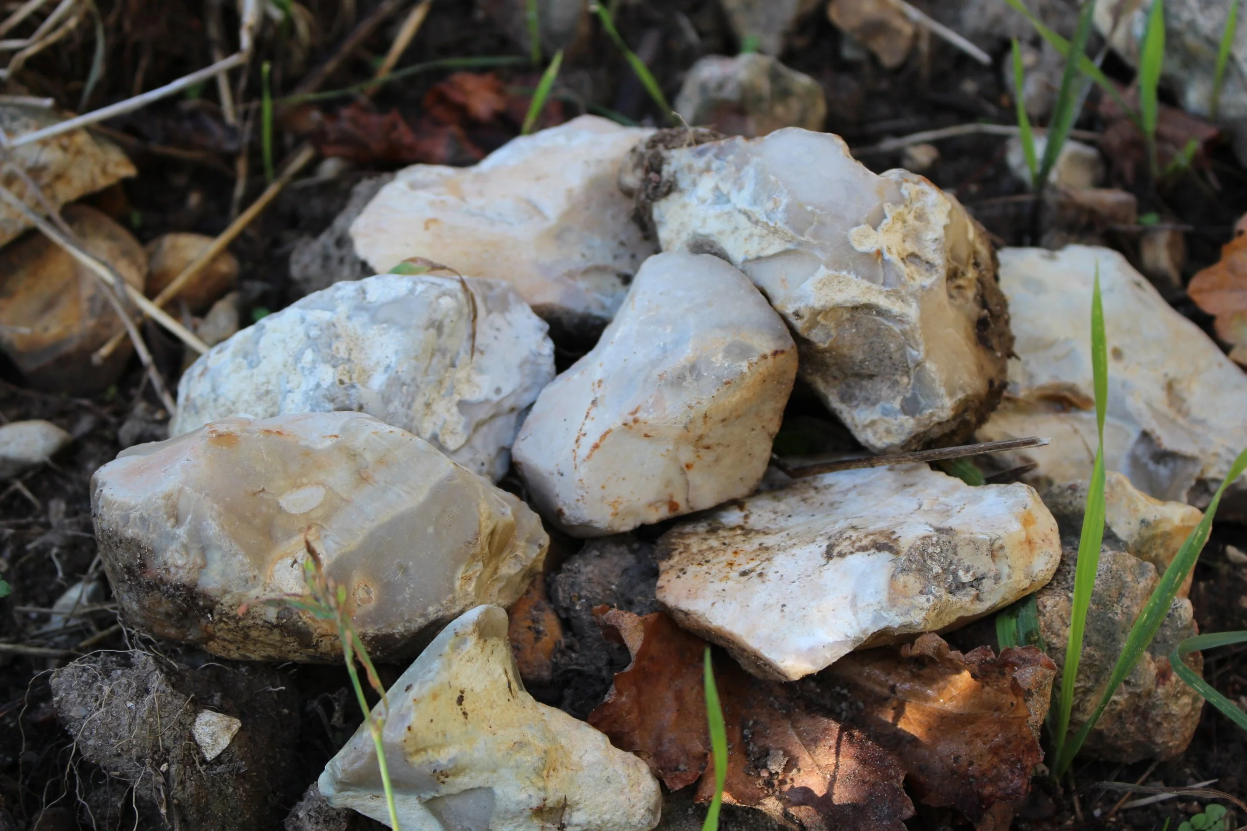Terroir de silex à Sancerre : comprendre ce sol emblématique du domaine Laporte