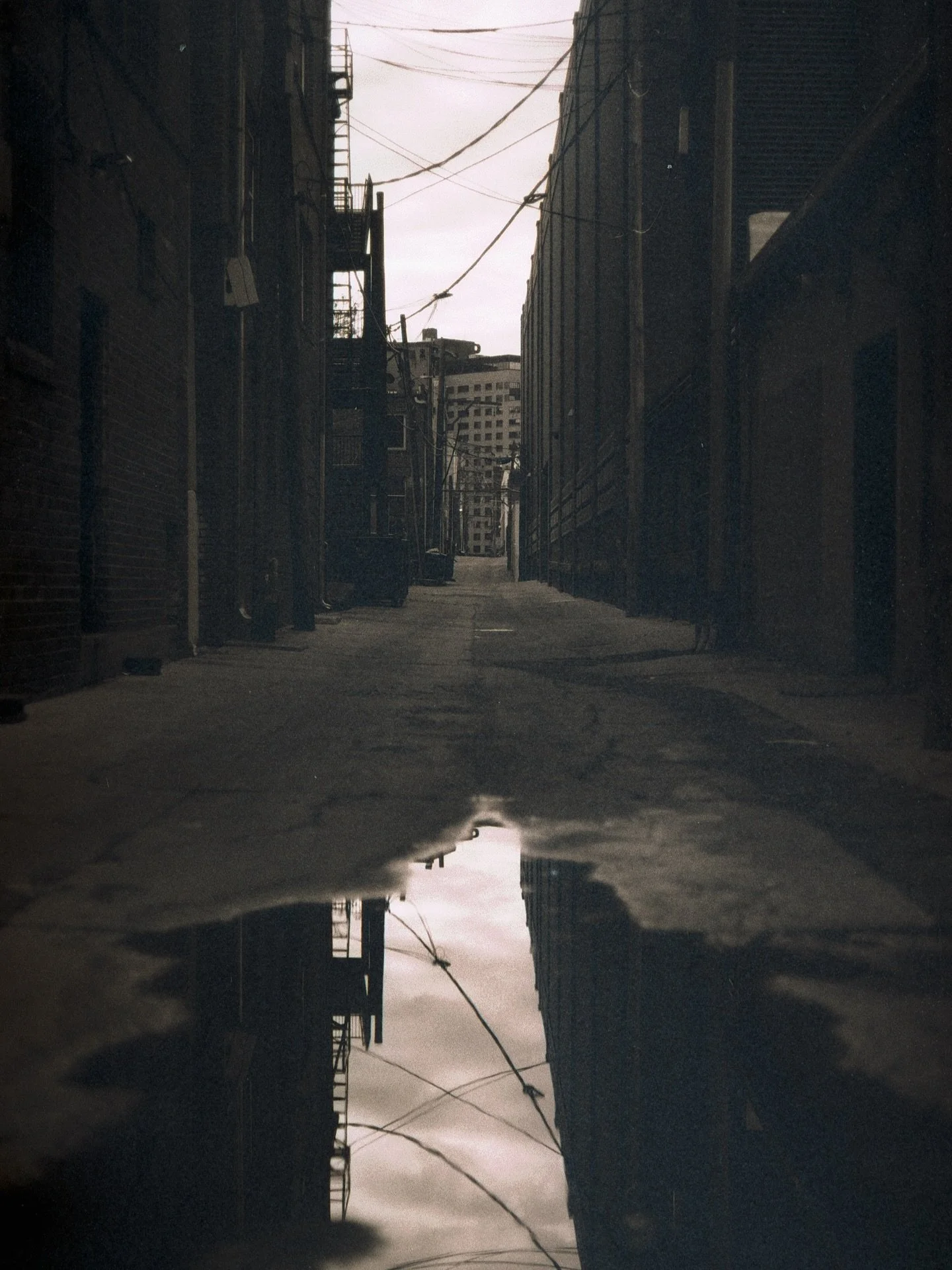 Some adventures with B+W film 😋

🎞️ - Ilford Delta 400
📸 - Canon AT-1
🔎 - Canon FD 50mm f/1.8 - f/16

#denver #filmphotography #canonat1 #canon #ilforddelta400 #rtddenver #cityscapes