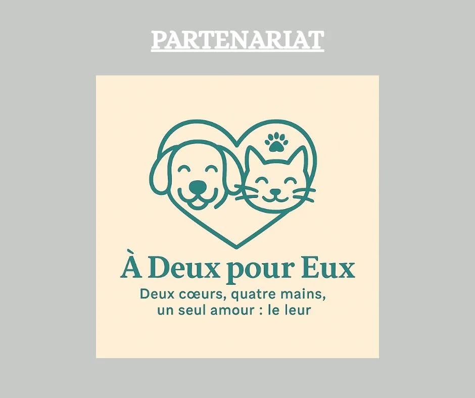 NOUVEAU PARTENARIAT : 
&Agrave; Deux Pour Eux est une micro-entreprise familiale sp&eacute;cialis&eacute;e dans la garde d&rsquo;animaux, les visites &agrave; domicile et les promenades, bas&eacute;e &agrave; Arras (62). Anissa &amp; Lo&iuml;c, sont 