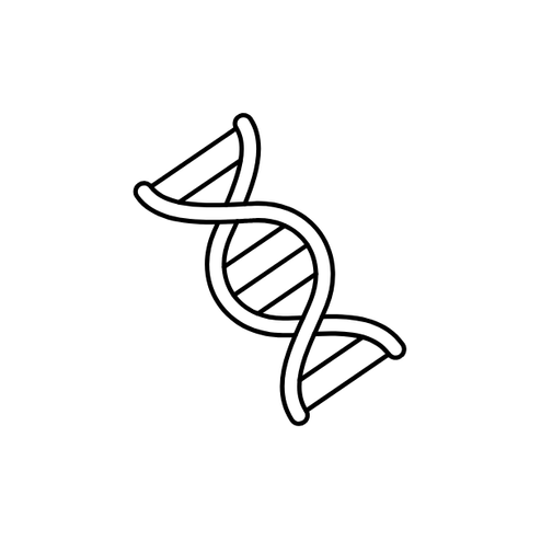 Line drawing of a DNA double helix.