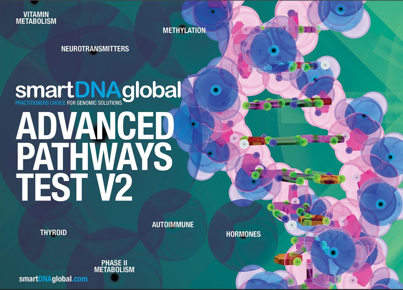 Screenshot 2025-11-13 at 2.00.55 am.png