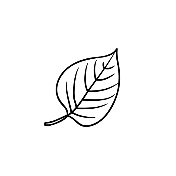 Simple black and white line drawing of a single leaf.