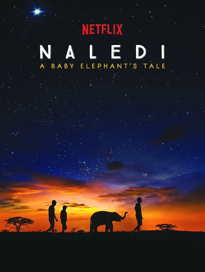 NALEDI_POSTER2.jpg