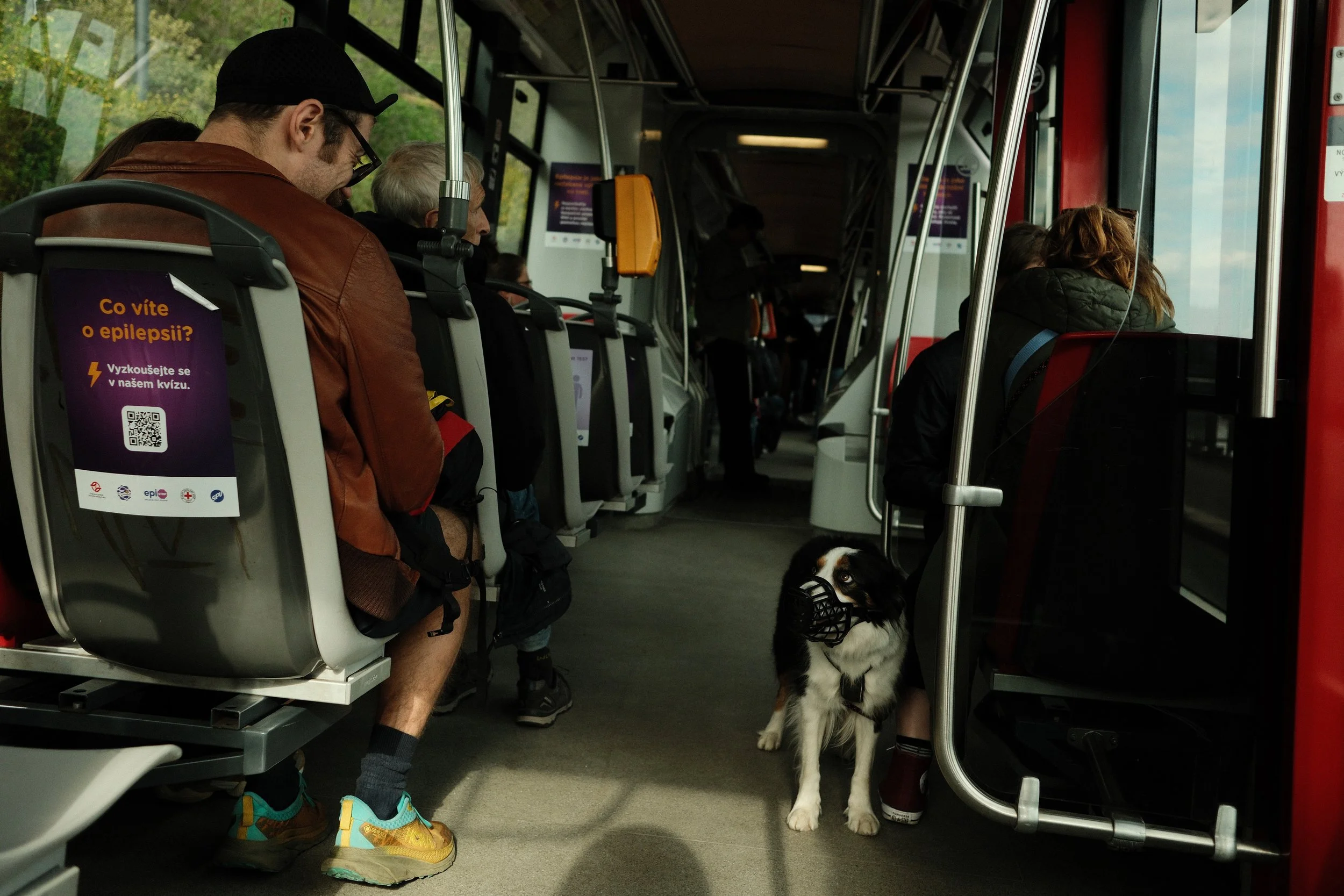 People sitting on public transit with a dog wearing a face mask sitting on the floor near the door.
