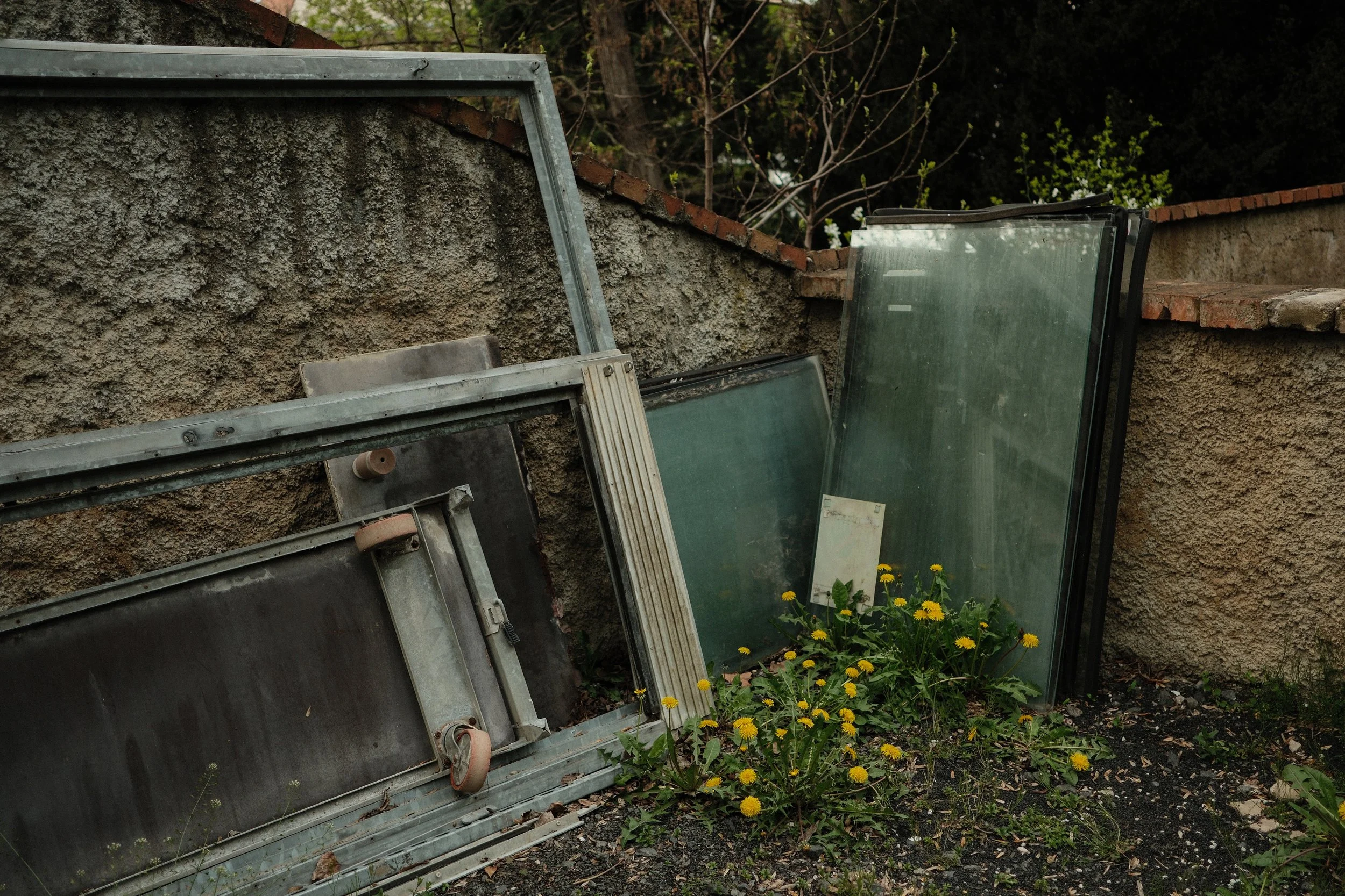 Disassembled window frames and glass panes leaning against a textured wall with yellow flowers growing at the base.