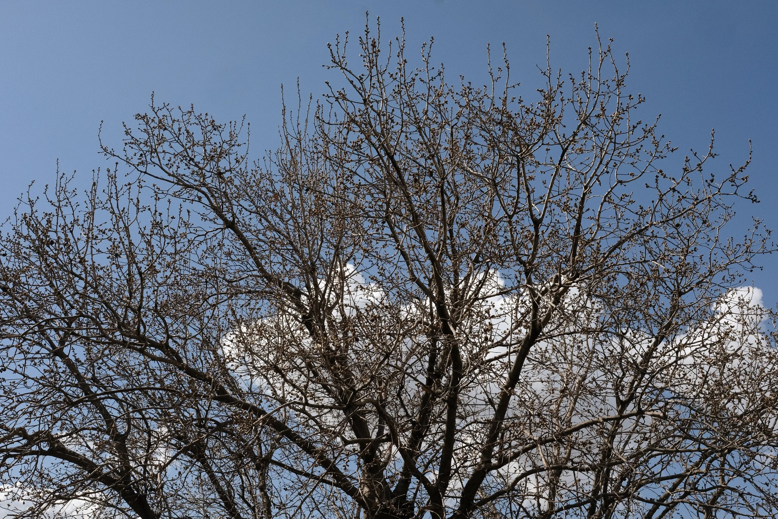 DSCF1920.JPG