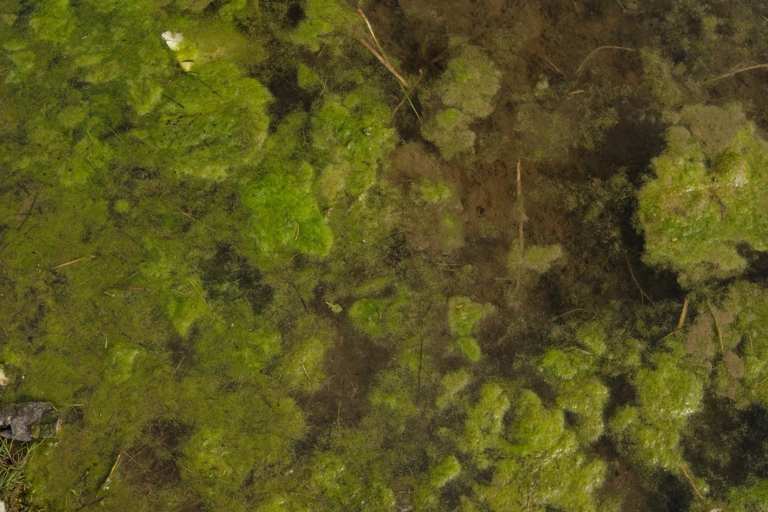 Abstract Nature