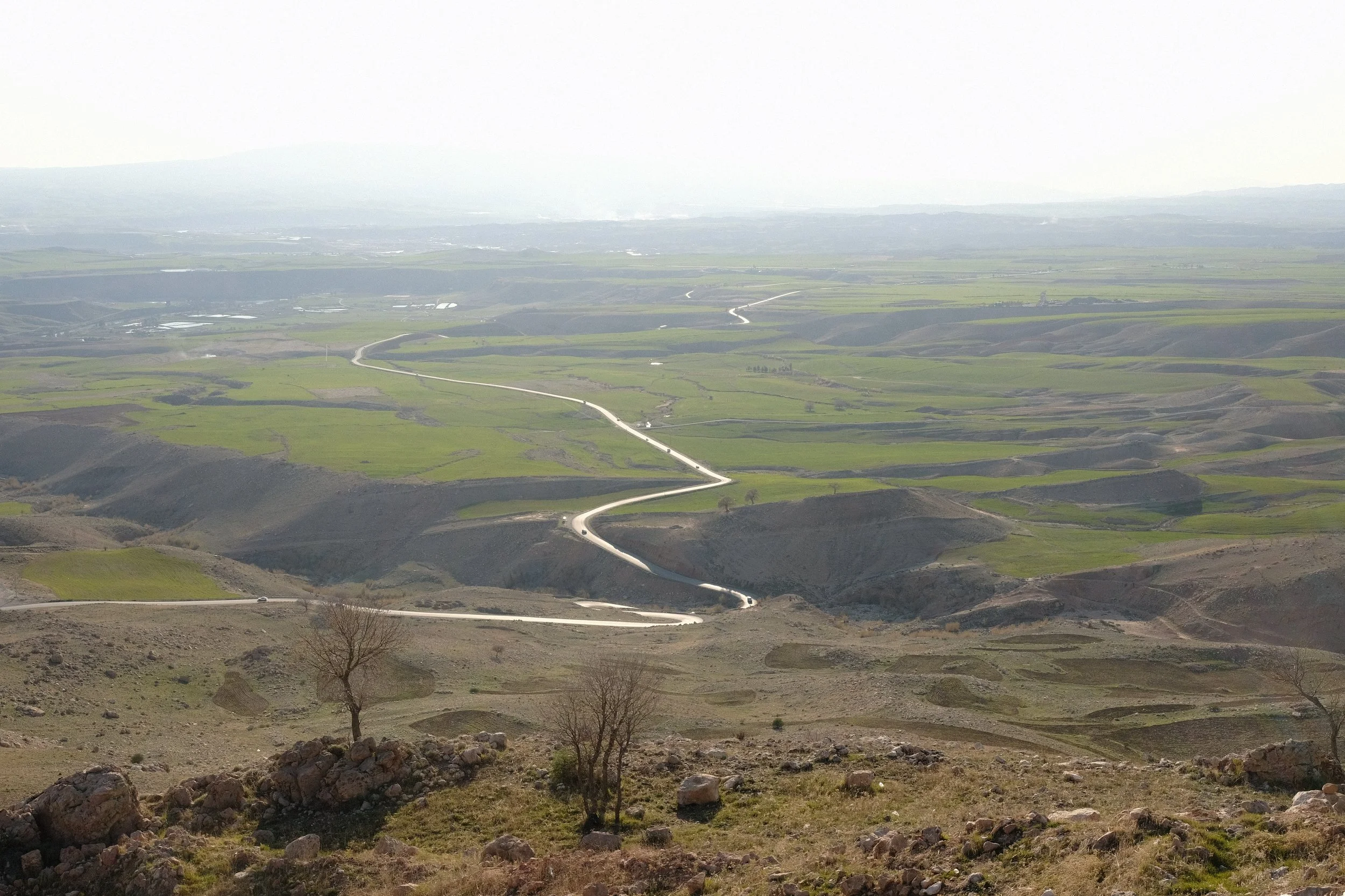 DSCF1507.JPG