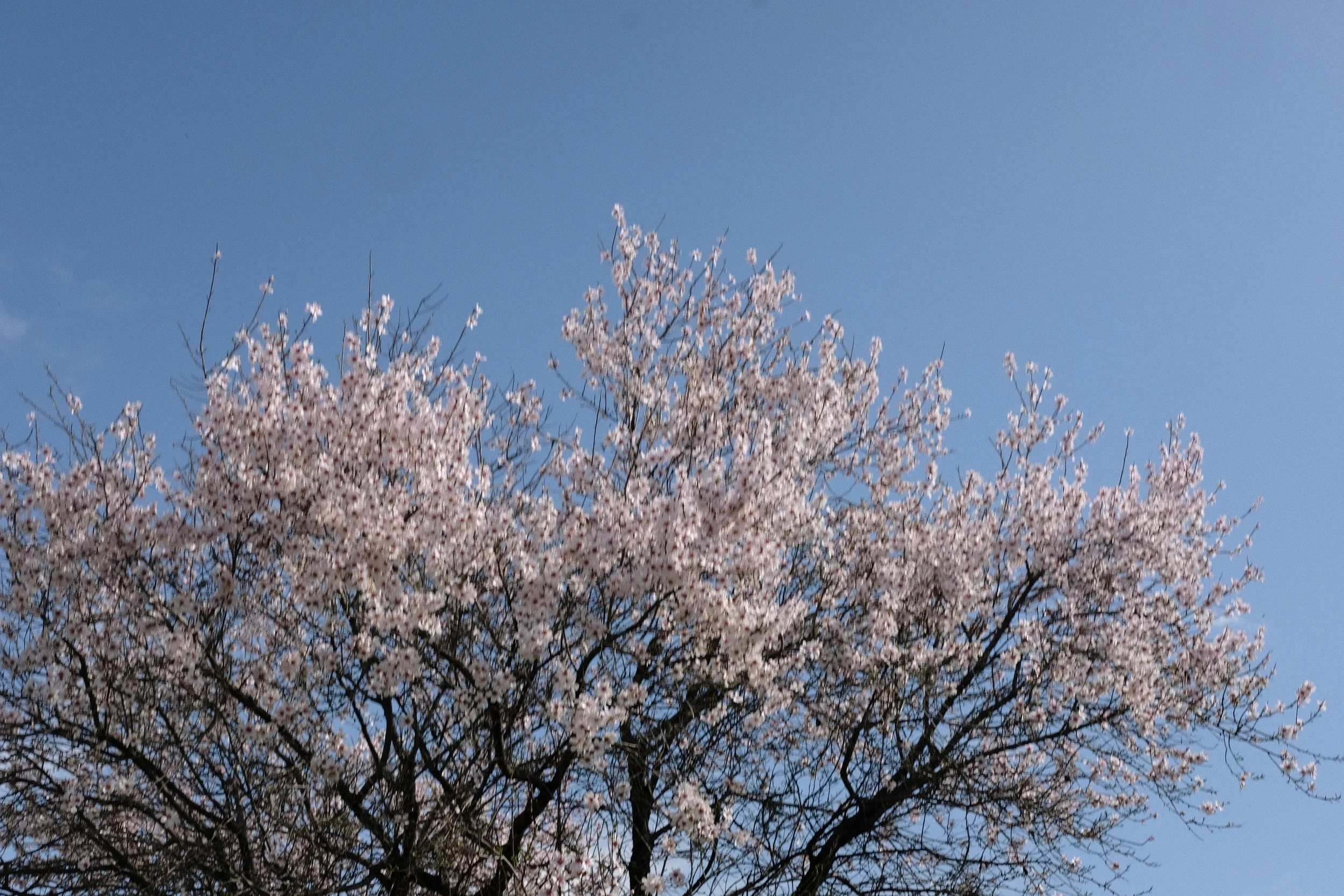 DSCF1948.JPG