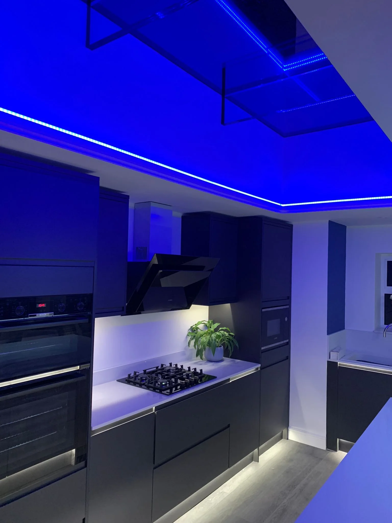 Modern kitchen with black cabinets, white countertop, built-in oven, gas stove, and a green plant in a white pot, illuminated by blue LED ceiling lights.
