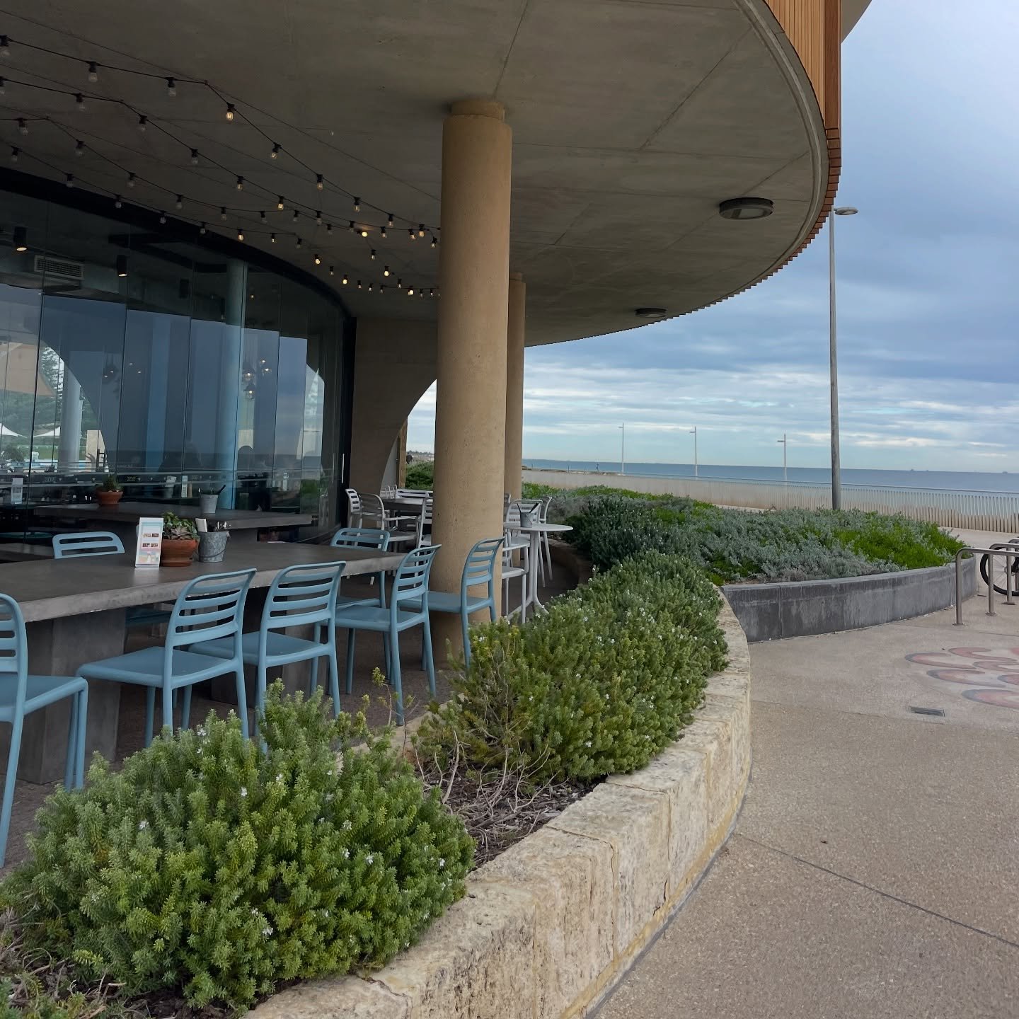 A little bit of inspiration from this coastal spot in Scarborough beach

Did you know that the compact coastal rosemary is just one of several Westringia varieties perfect for Aussie gardens? 

This hardy native is drought-tolerant, low-maintenance, 