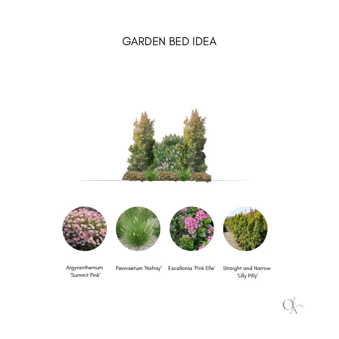 Garden bed ideas 💡

We&rsquo;re starting a new project in July, and today the client requested an additional section along the side of the house to screen the fence view from her children&rsquo;s bedroom windows

Given the narrow pathway, I&rsquo;ve