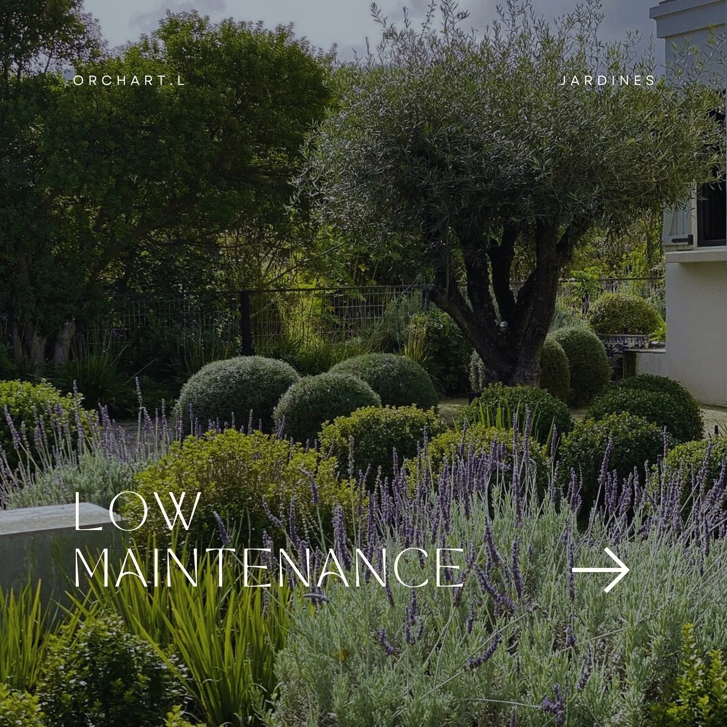 Tener un jard&iacute;n f&aacute;cil de mantener no significa que tenga que ser simple o aburrido. 

Estas plantas te demuestran que el dise&ntilde;o y la practicidad pueden ir de la mano🌿

Si te sirvi&oacute;, compartilo o m&aacute;ndaselo a ese ami