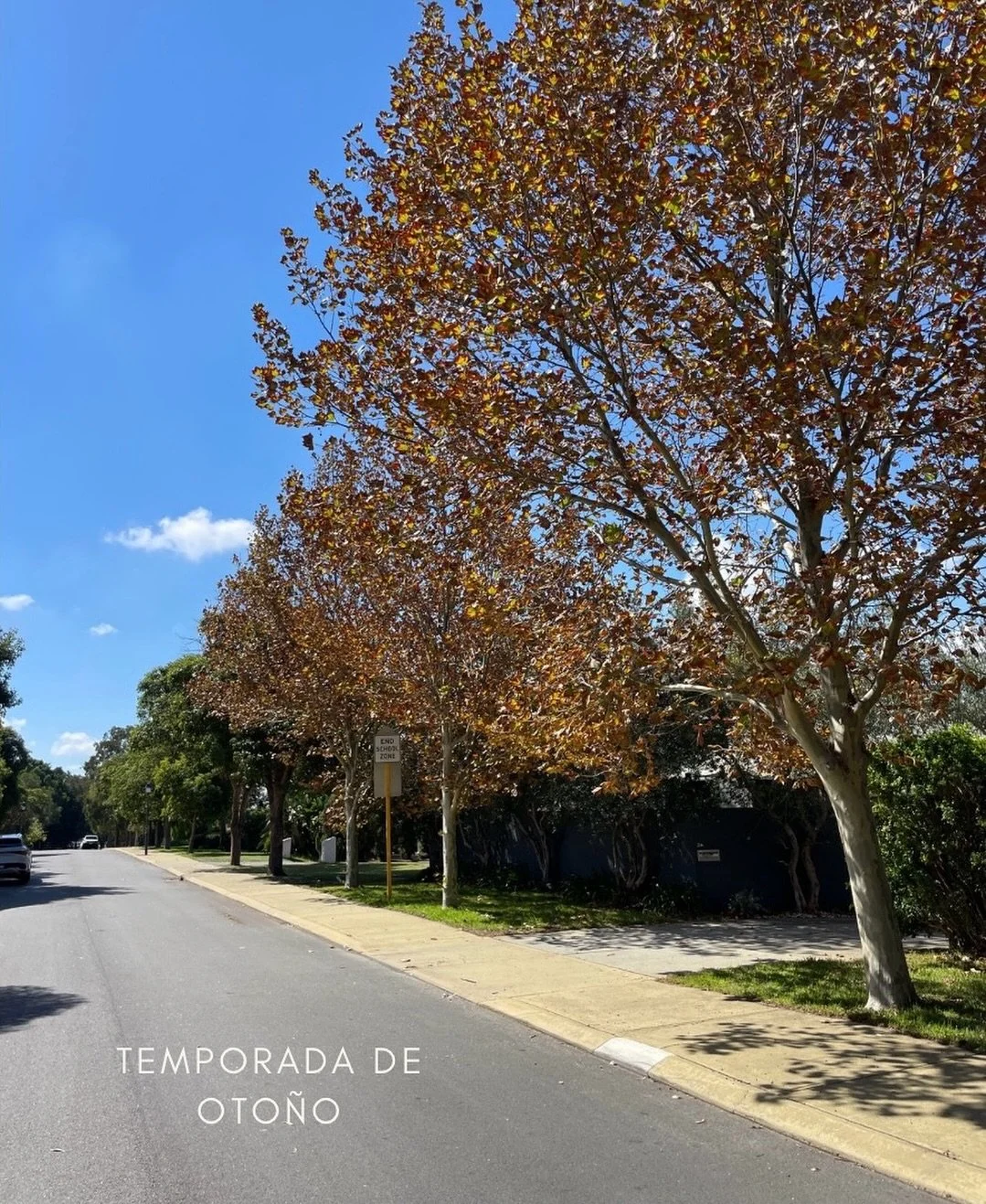 Cambios de estaci&oacute;n 🍁

Cuando pasamos de una estaci&oacute;n a otra es un buen momento para limpiar la huerta y el jard&iacute;n, renovar lo que no sobrevivi&oacute; en los calores de verano, sacar cultivos que terminaron su ciclo y empezar a