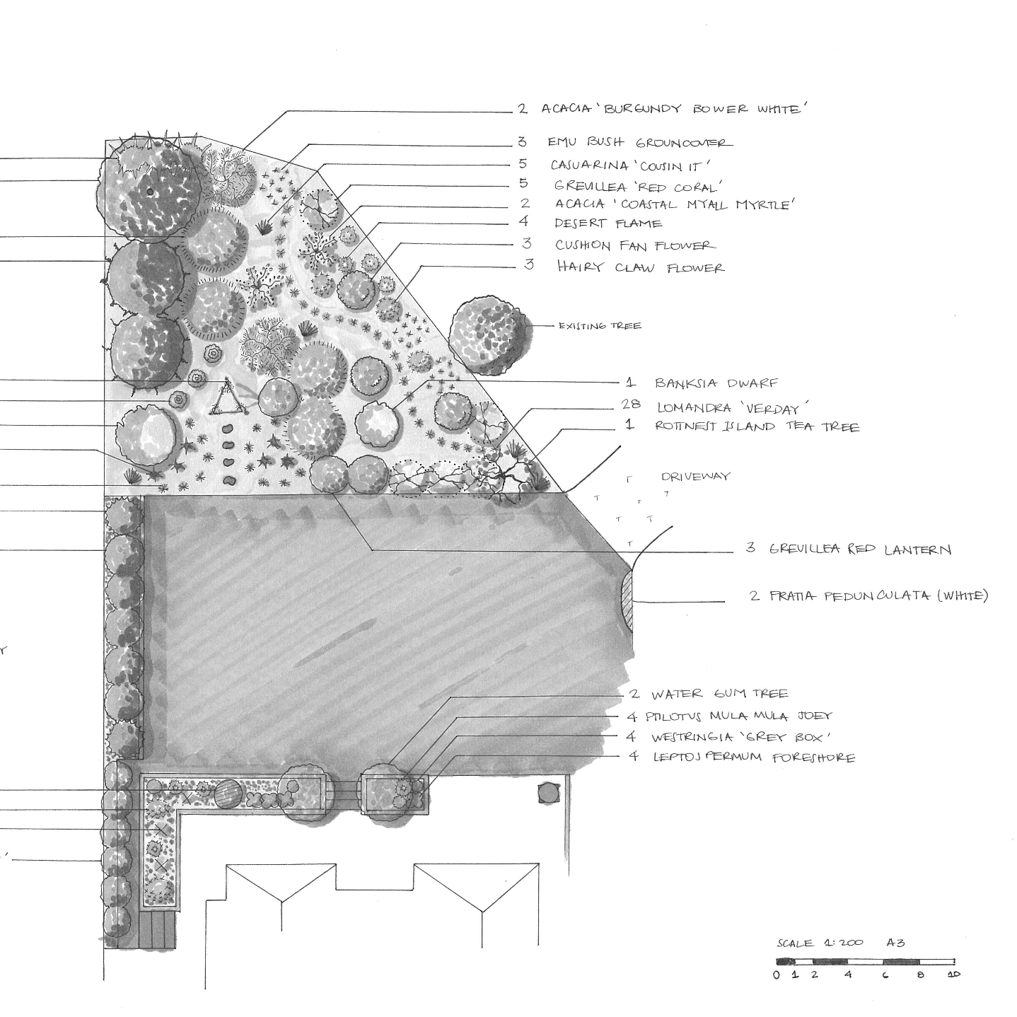A detailed landscape design plan showing various plants, trees, and garden features labeled with annotations, including a driveway, lawn, and specific plant species, plotted with a scale for measurement.