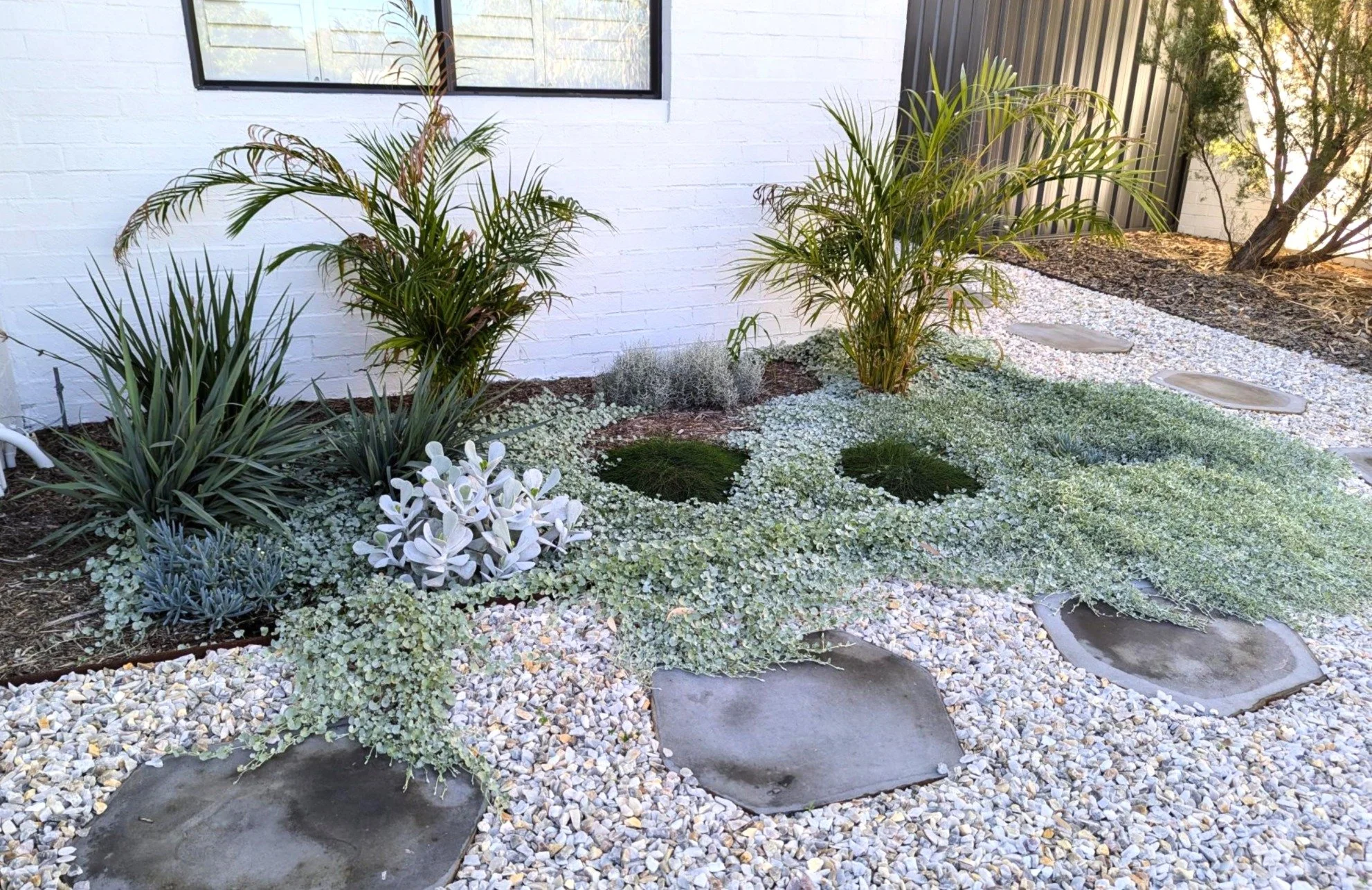Backyard garden with white brick wall, various green plants, small white pebbles, and large stepping stones.
