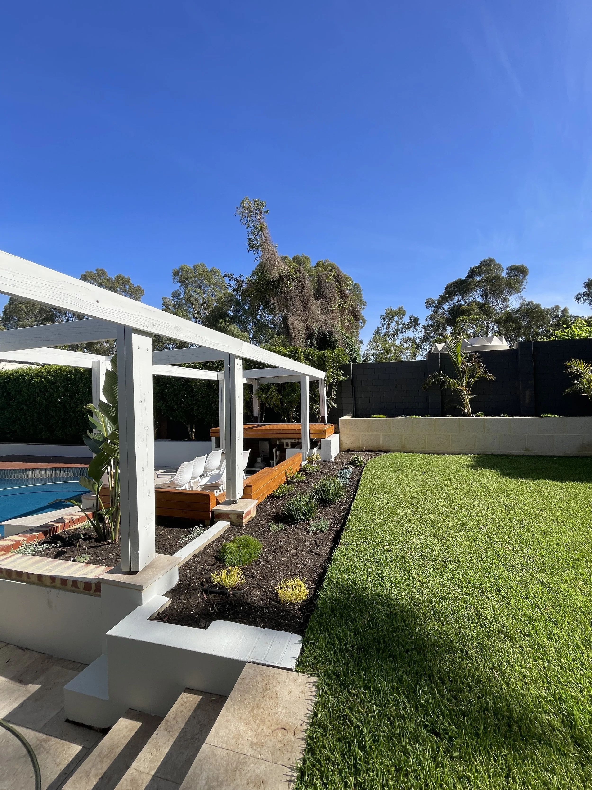 Backyard with a pool, white wooden pergola, green lawn, garden bed with small plants, and tall trees under a clear blue sky.