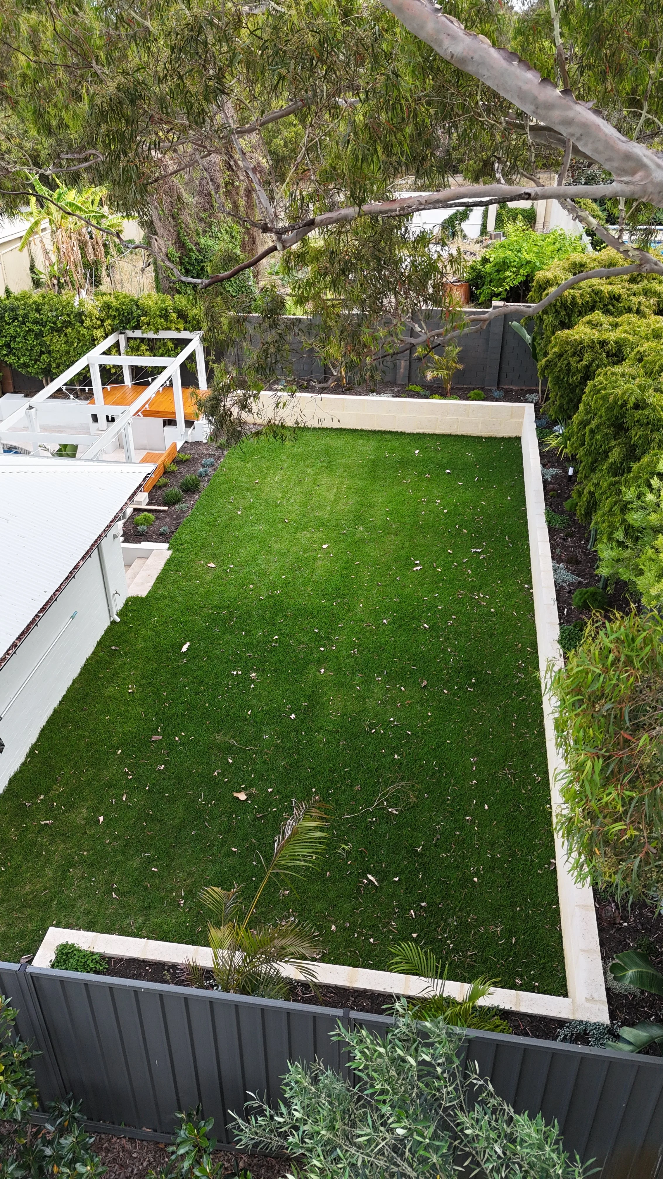 View of a backyard with a well-maintained grassy lawn, surrounded by trees and shrubbery, with a small outdoor deck area and a white fence.