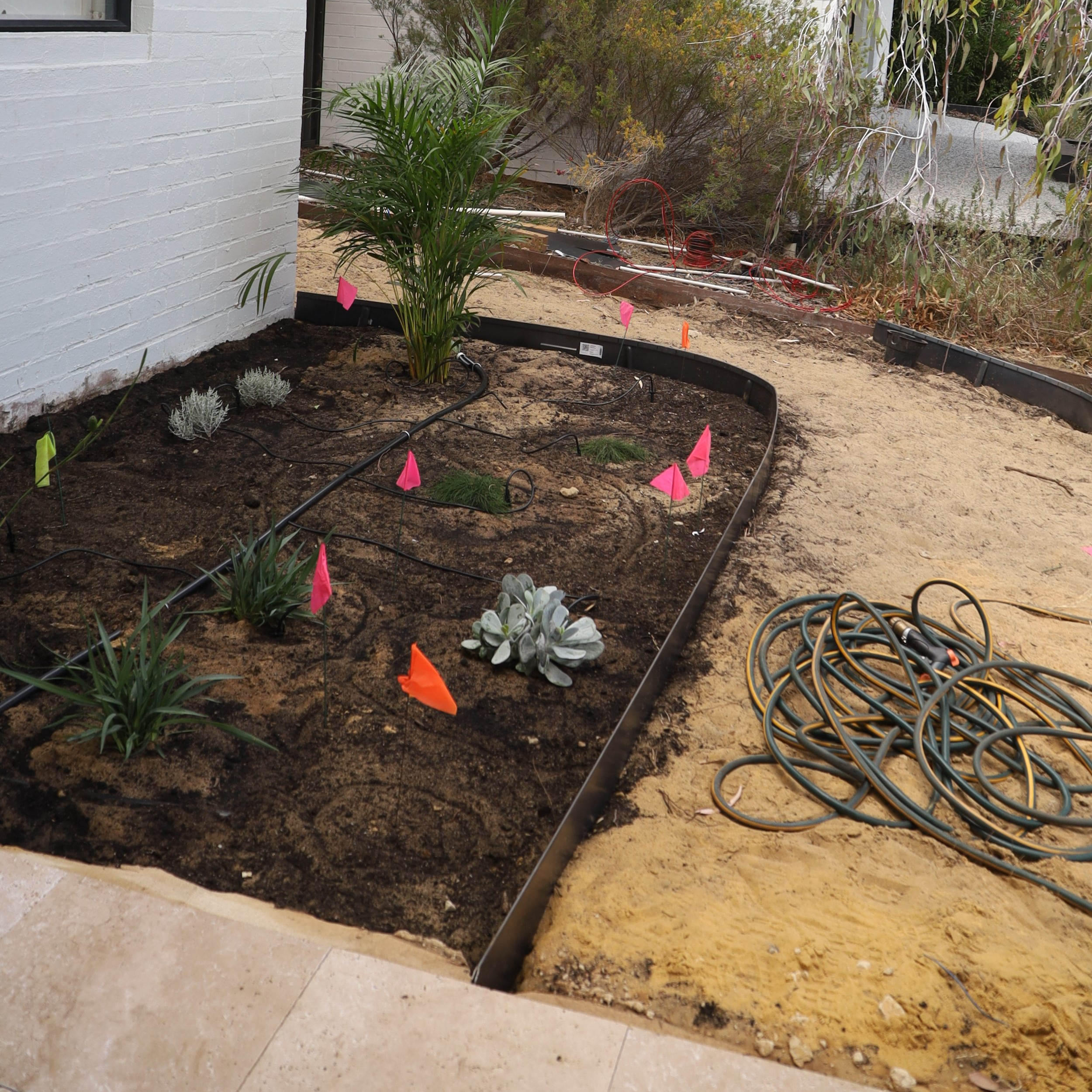 Flower bed with young plants and irrigation system, surrounded by soil and bordered with black edging. Coiled extension cords or hoses are on the sandy surface nearby. In the background, there are additional plants and a partially visible white brick wall.