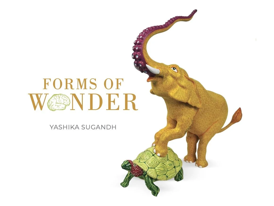 Forms of Wonder