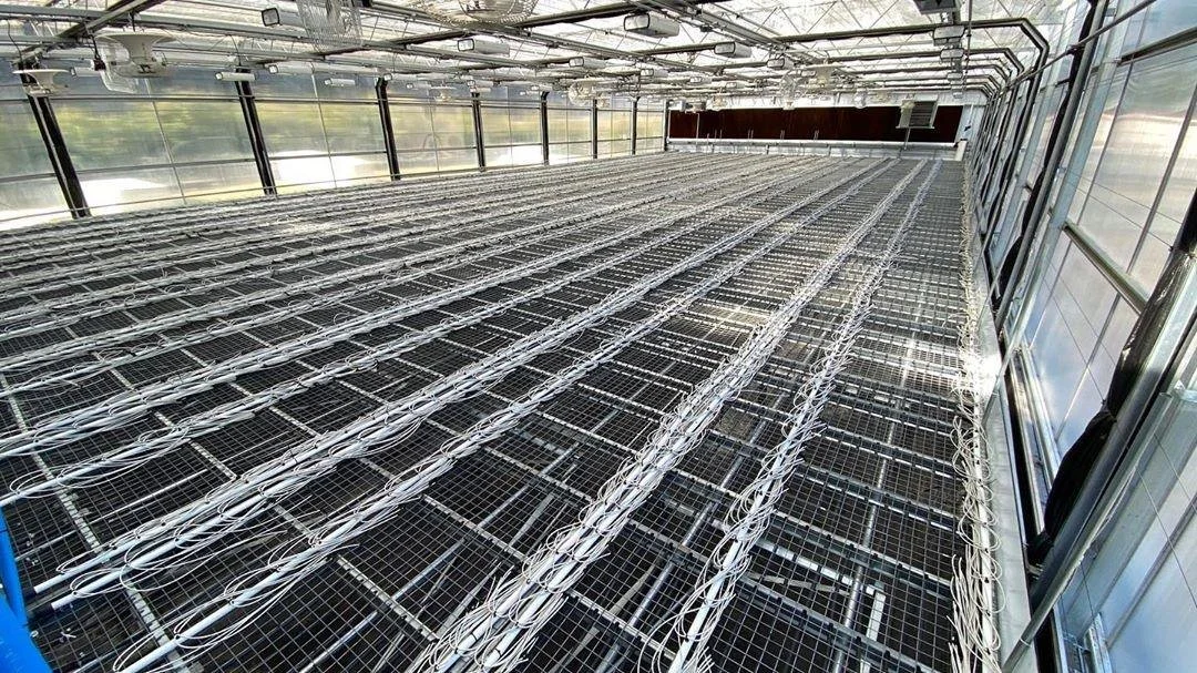 wiretop06.jpg