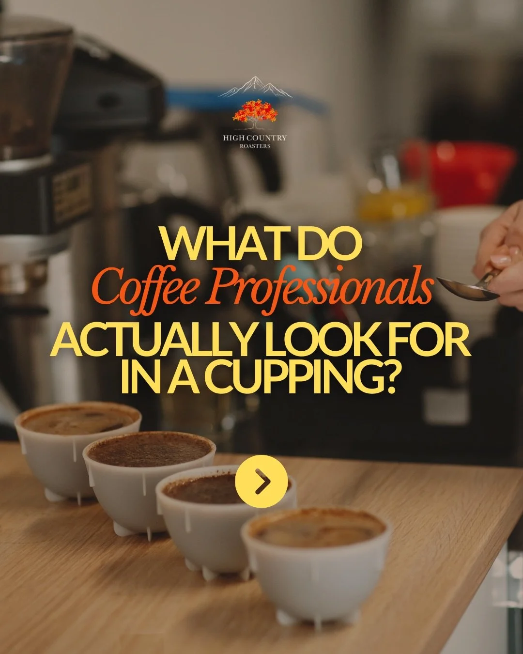 Most people drink coffee.
We study it.

There&rsquo;s a reason some coffees taste &ldquo;wow&rdquo; and others just taste&hellip; like coffee. During a cupping, we&rsquo;re not just sipping. We&rsquo;re paying attention to aroma, texture, sweetness, 