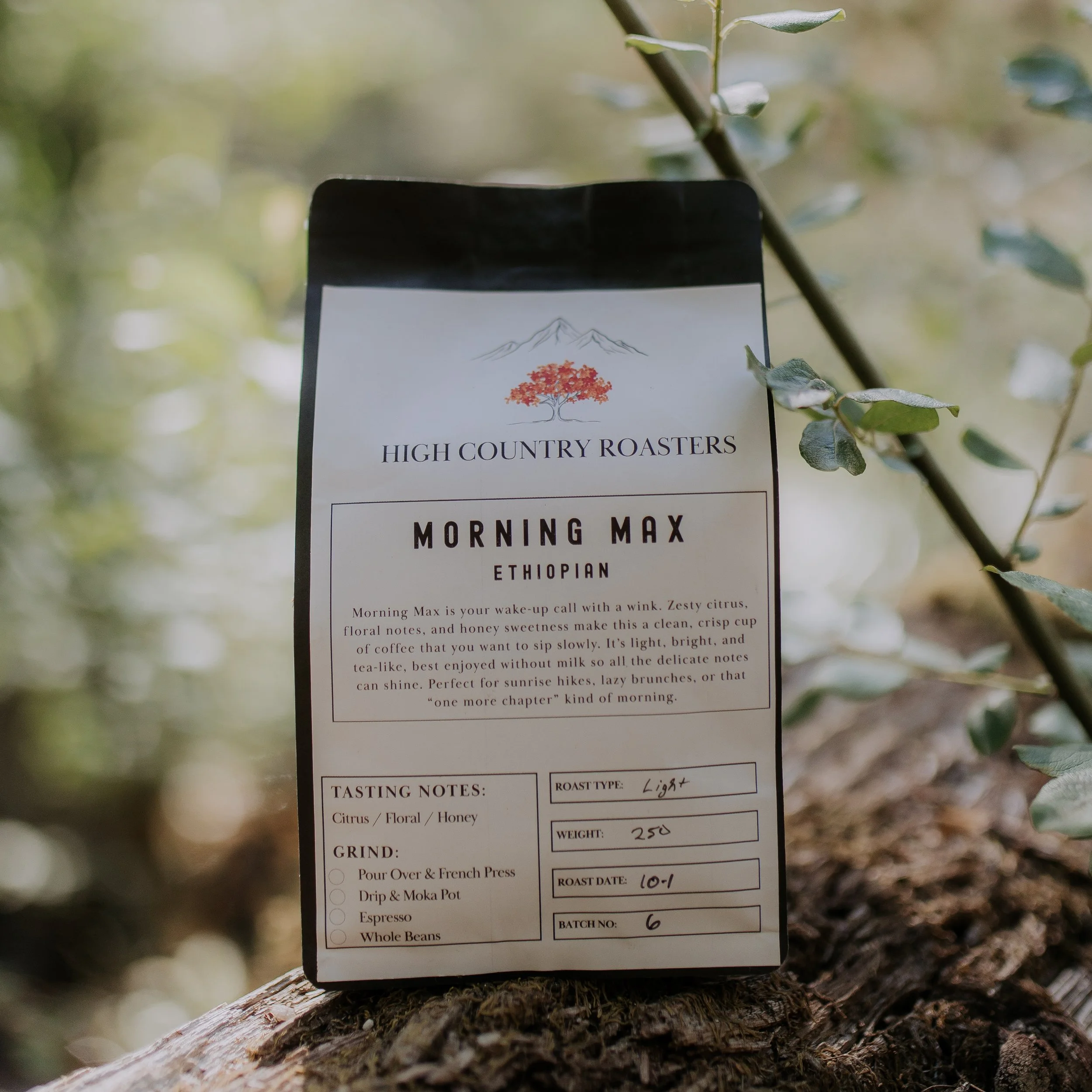 Morning Max - Single Origin Light Roast