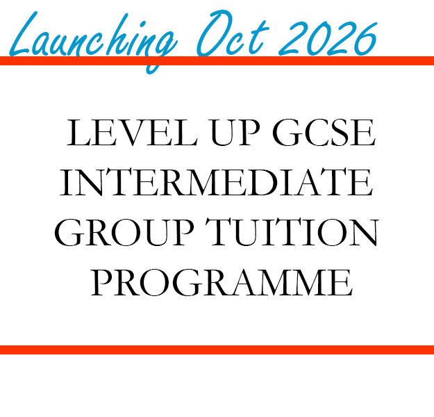 Level Up GCSE (Intermediate) Group Tuition Programme