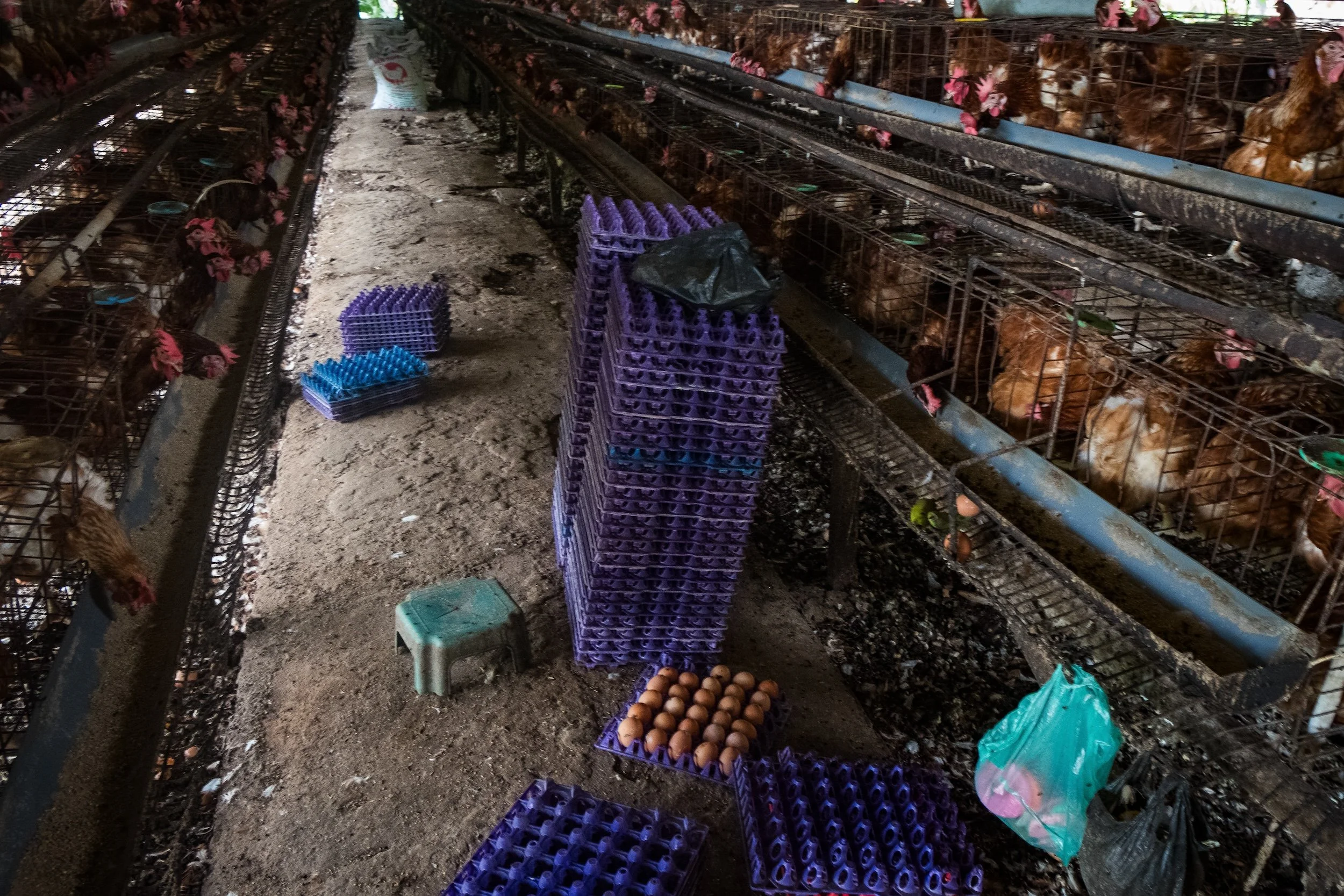 Marriott Investigation 4.jpg