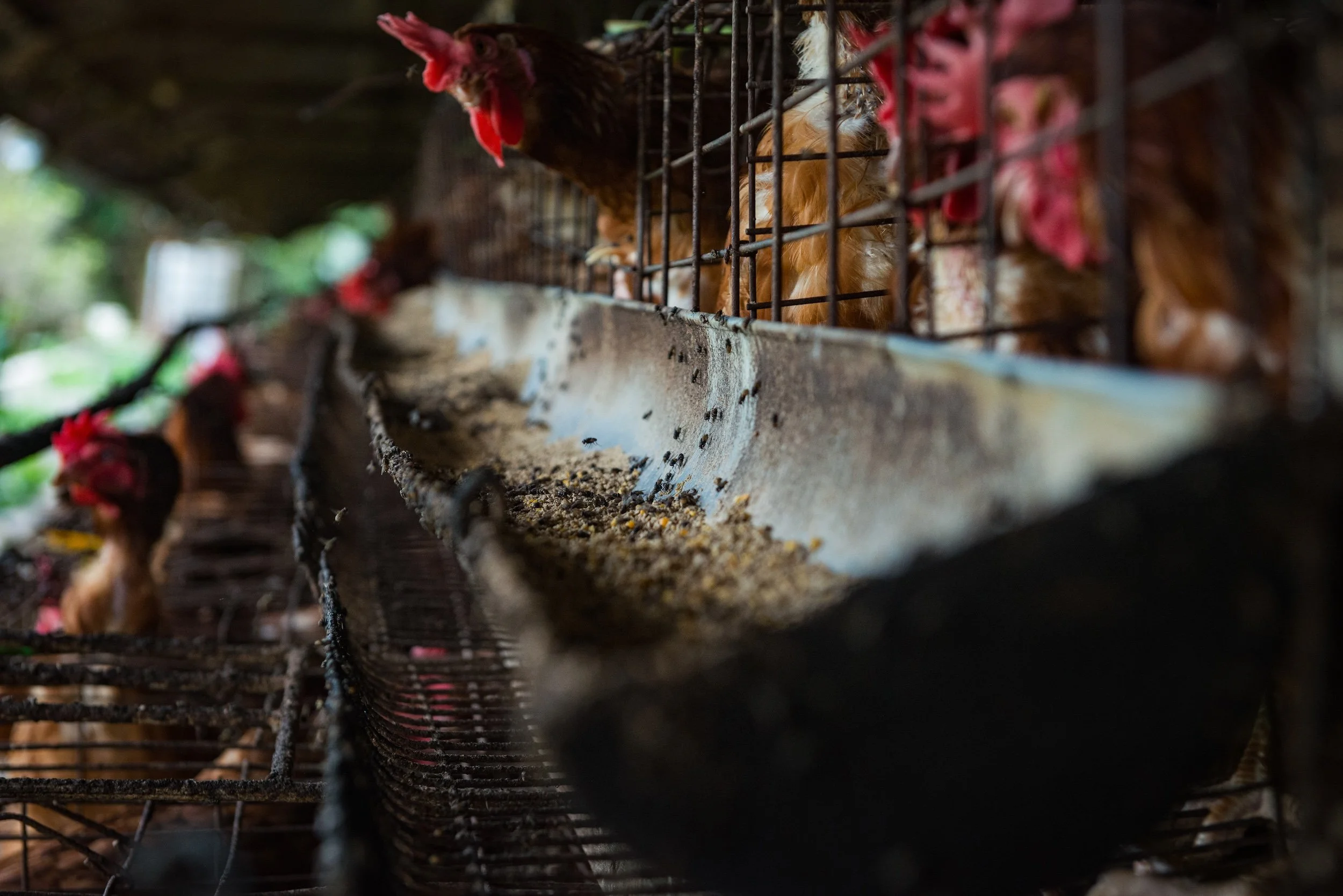 Marriott Investigation 7.jpg