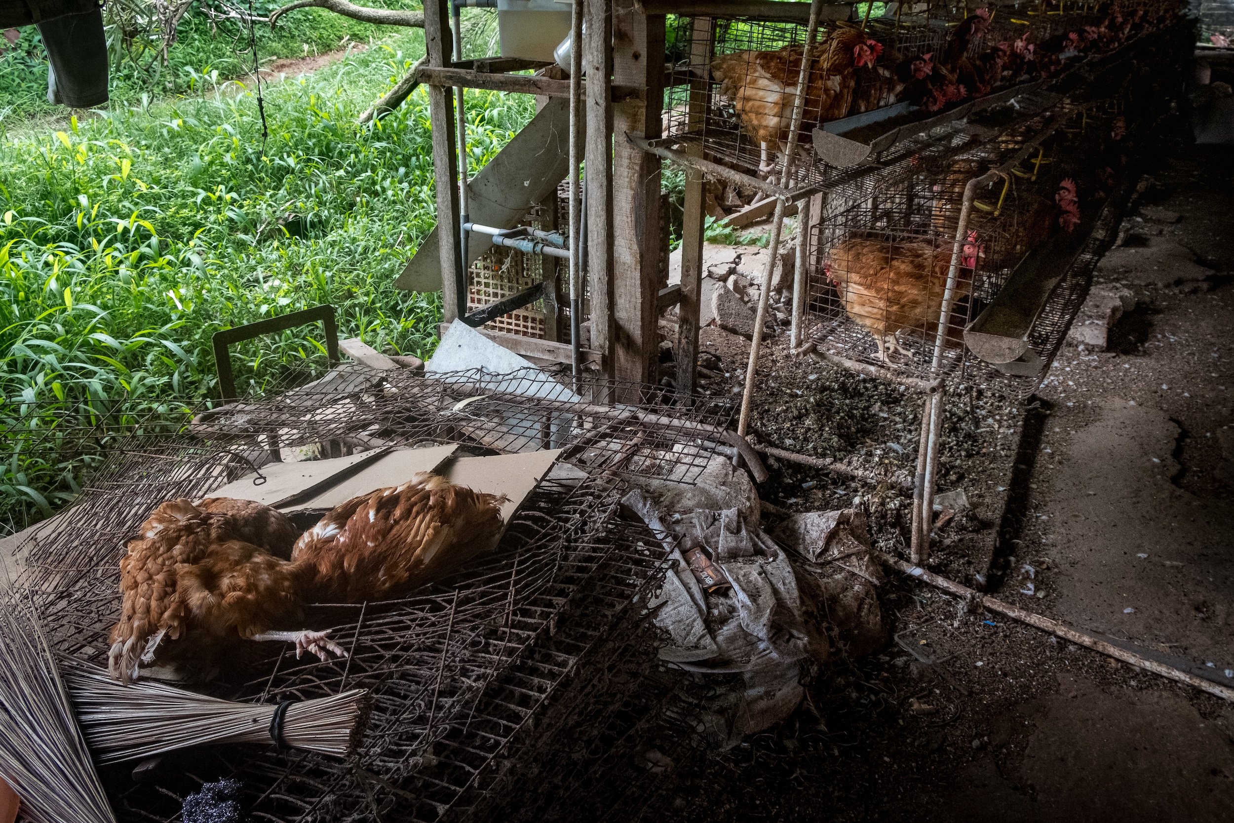 Marriott Investigation 6.jpg