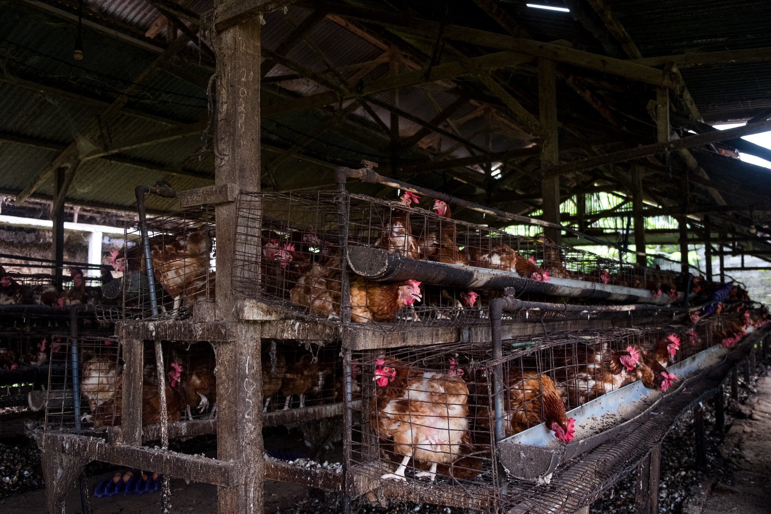 Marriott Investigation 5.jpg