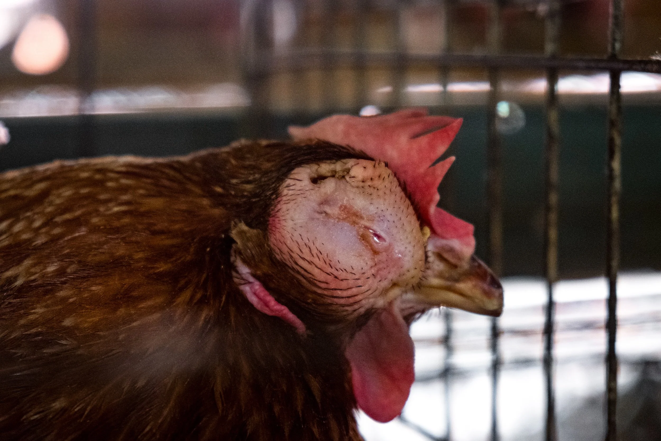 Marriott Investigation 2.jpg