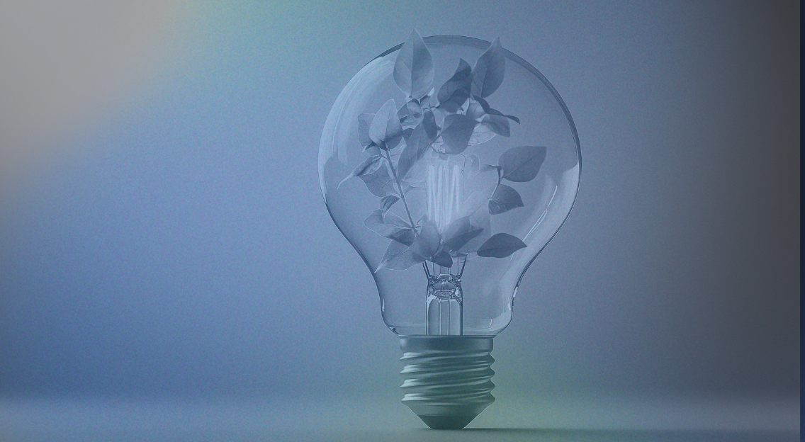 FNA's Commitment to Sustainability 