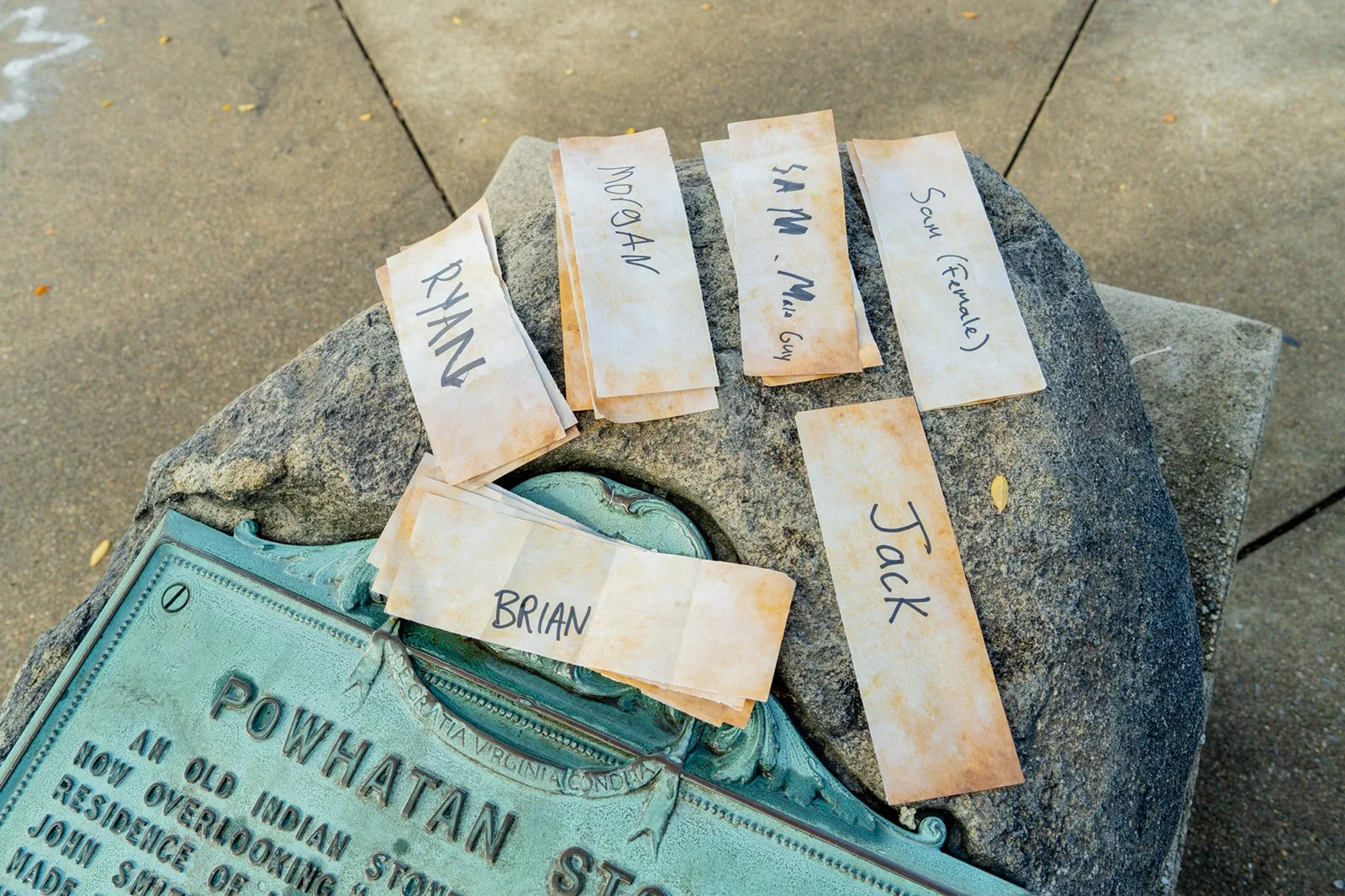 survivor_rva2025-733_websize.jpg