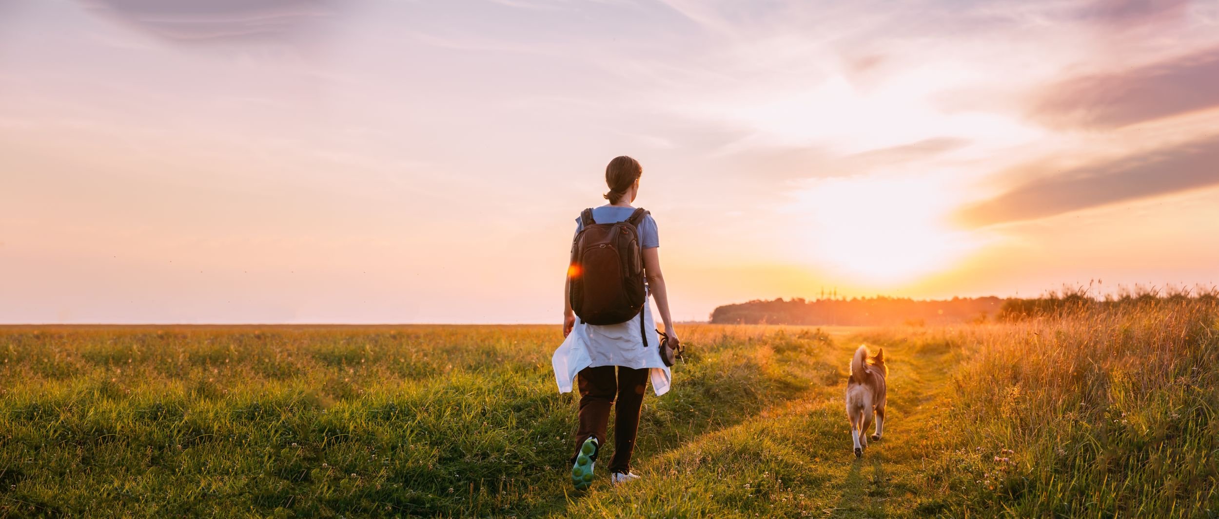 Person mit Rucksack läuft mit Hund bei Sonnenuntergang durch eine Wiese.