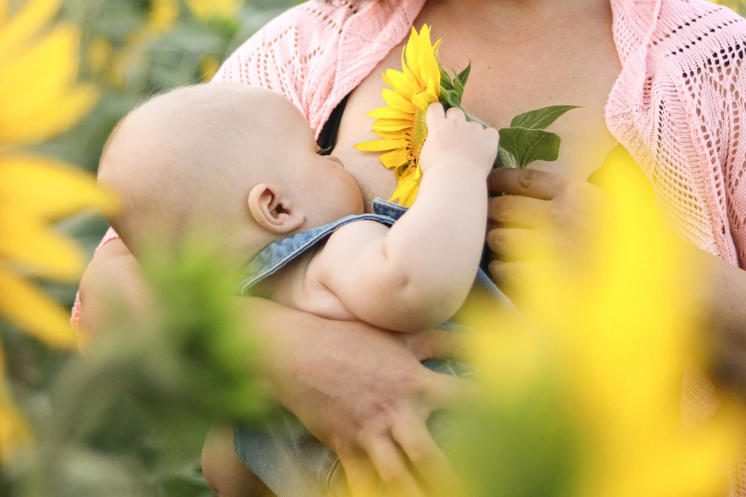 Une mère donne le sein à son enfant dans un champ de tournesols