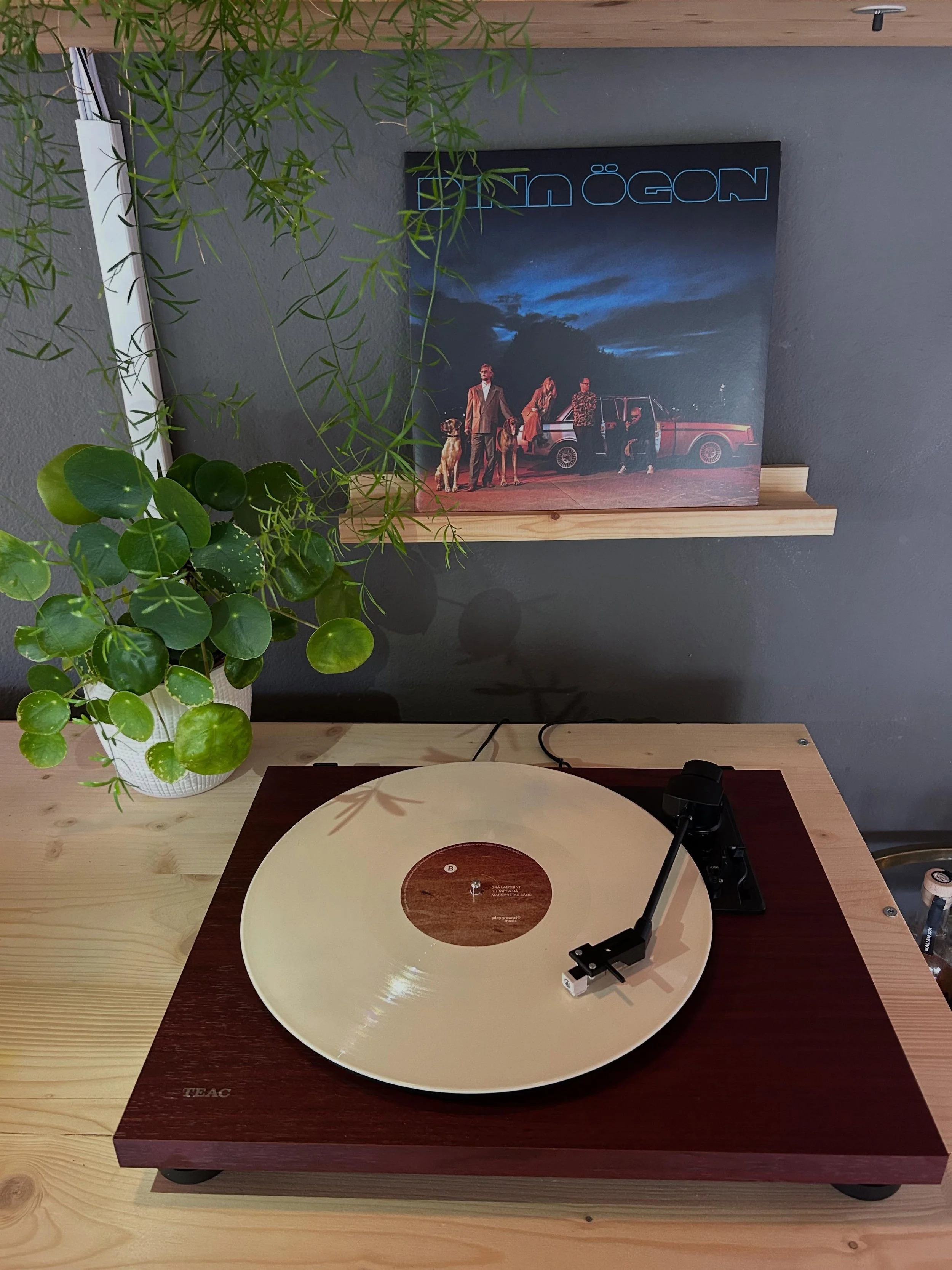 Platte des Monats - Mai 🎶
M&auml;nniskobarn by Dina &Ouml;gon

#vinyl #musicconcept #hotelrestaurantmusic