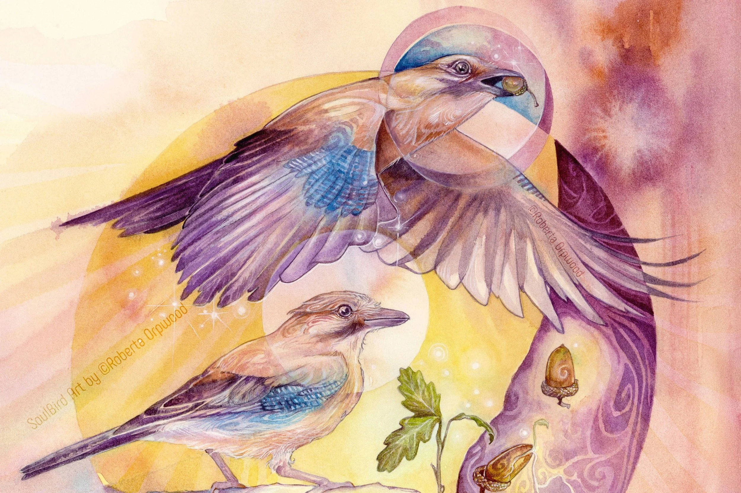 A Journey with Jay Bird